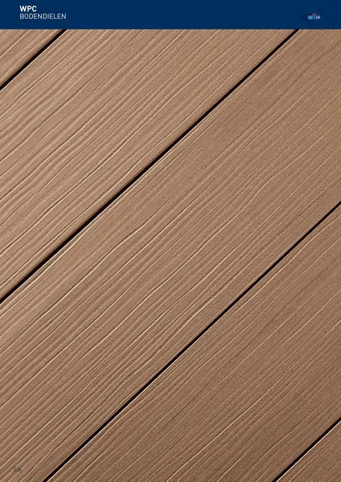 Galabau 2024/25 von 5. Juni bis 31. Dezember 2025 - Flugblätt seite  221