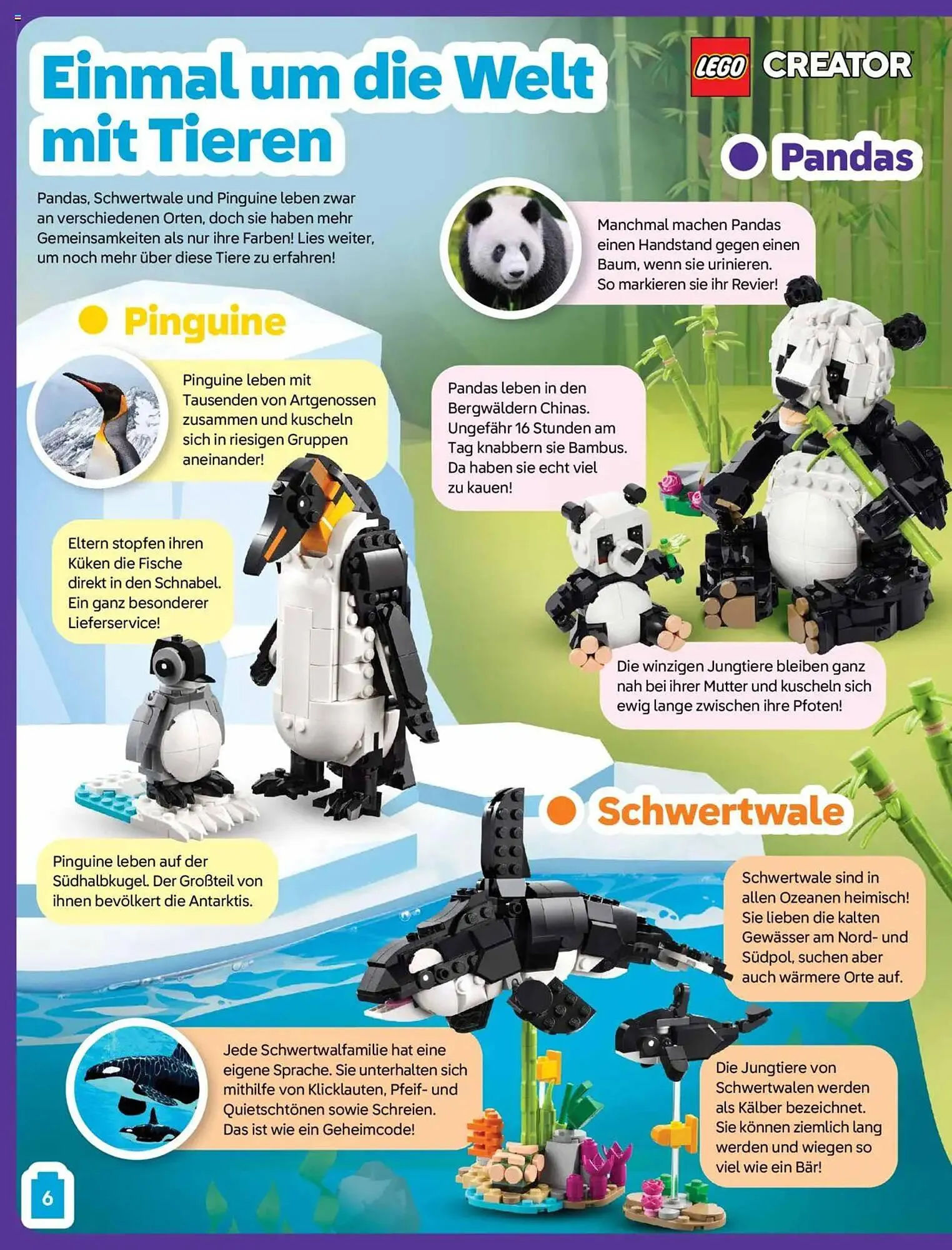 Lego Flugblatt von 20. Jänner bis 31. März 2025 - Flugblätt seite  6