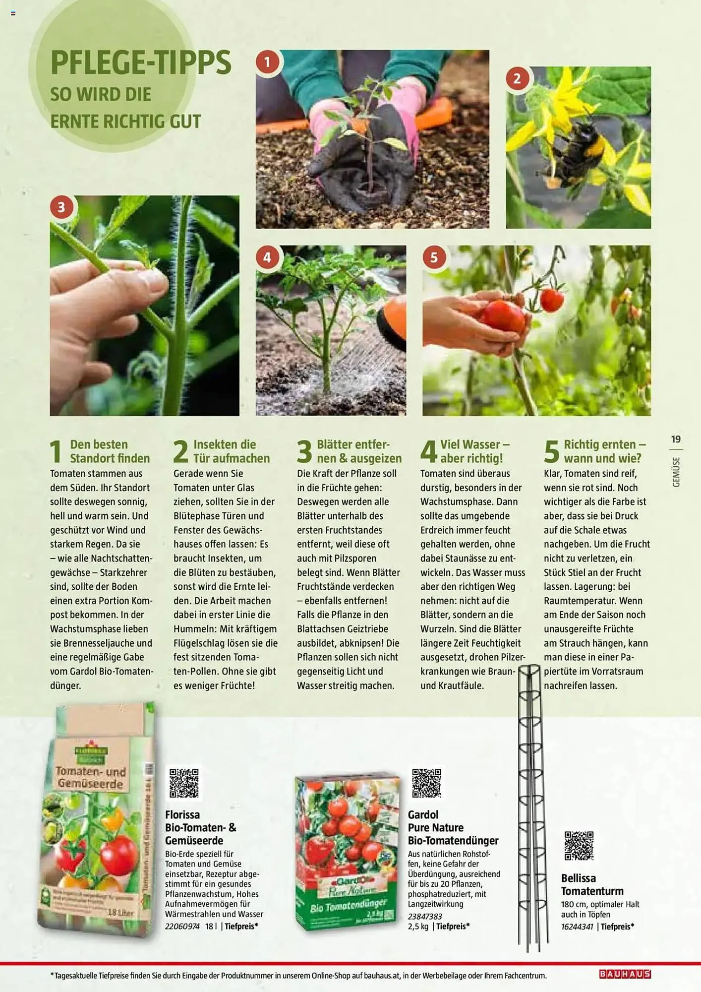 Bauhaus Flugblatt von 1. Juli bis 6. März 2026 - Flugblätt seite 19