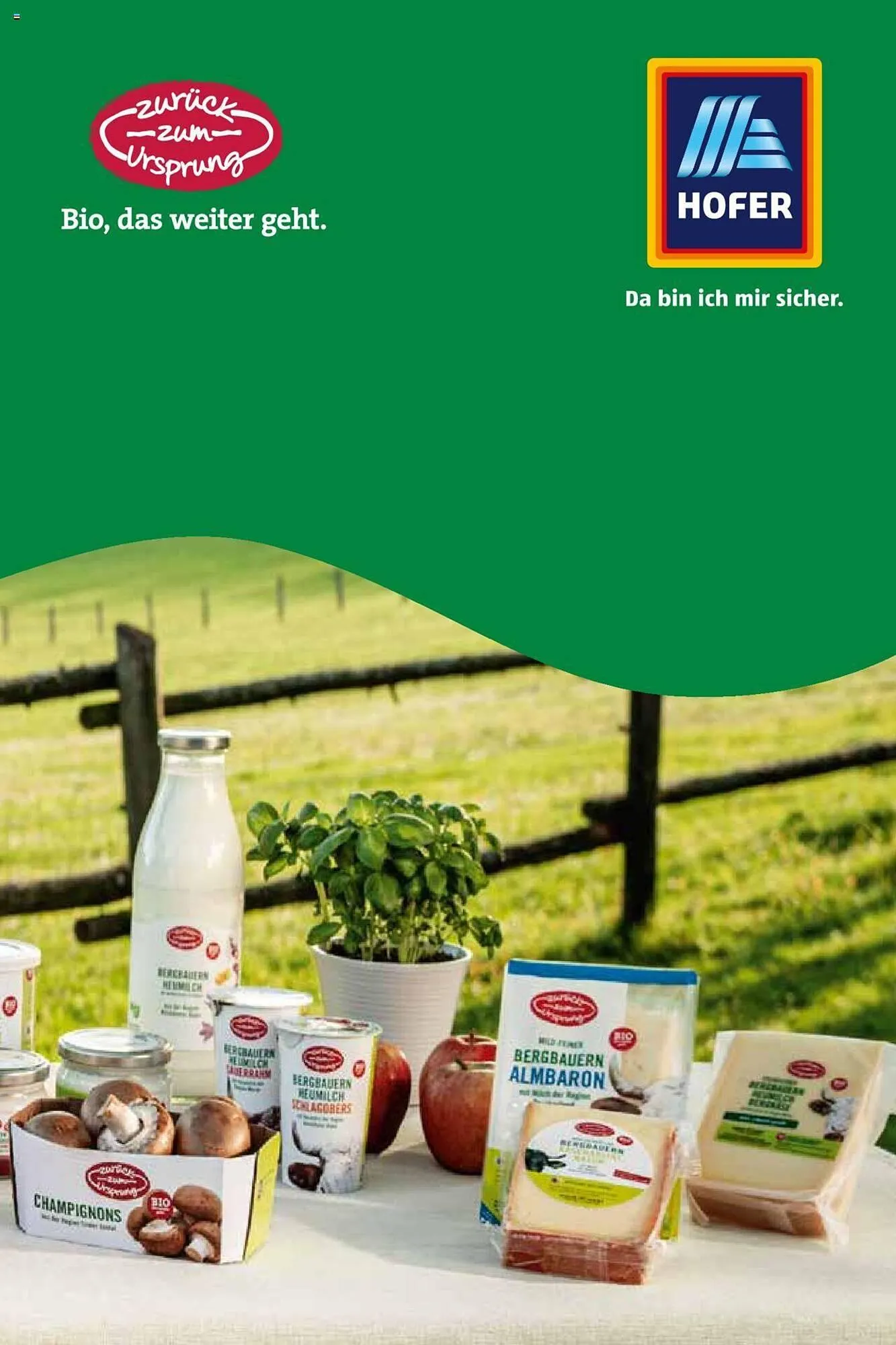 Hofer Flugblatt von 8. Oktober bis 4. März 2026 - Flugblätt seite  32