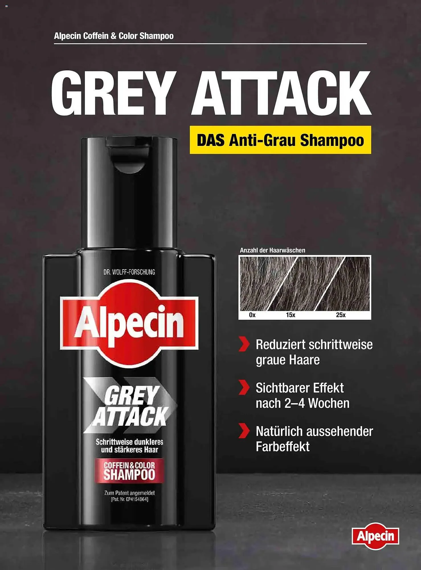 Dm Flugblatt von 1. Dezember bis 31. Jänner 2026 - Flugblätt seite  66