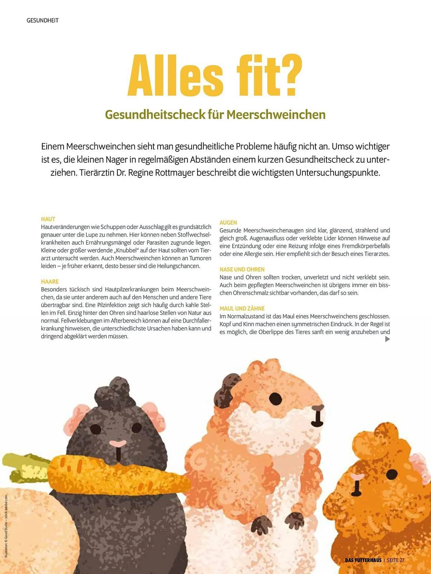 Das Futterhaus Flugblatt von 1. August bis 3. Oktober 2024 - Flugblätt seite 27