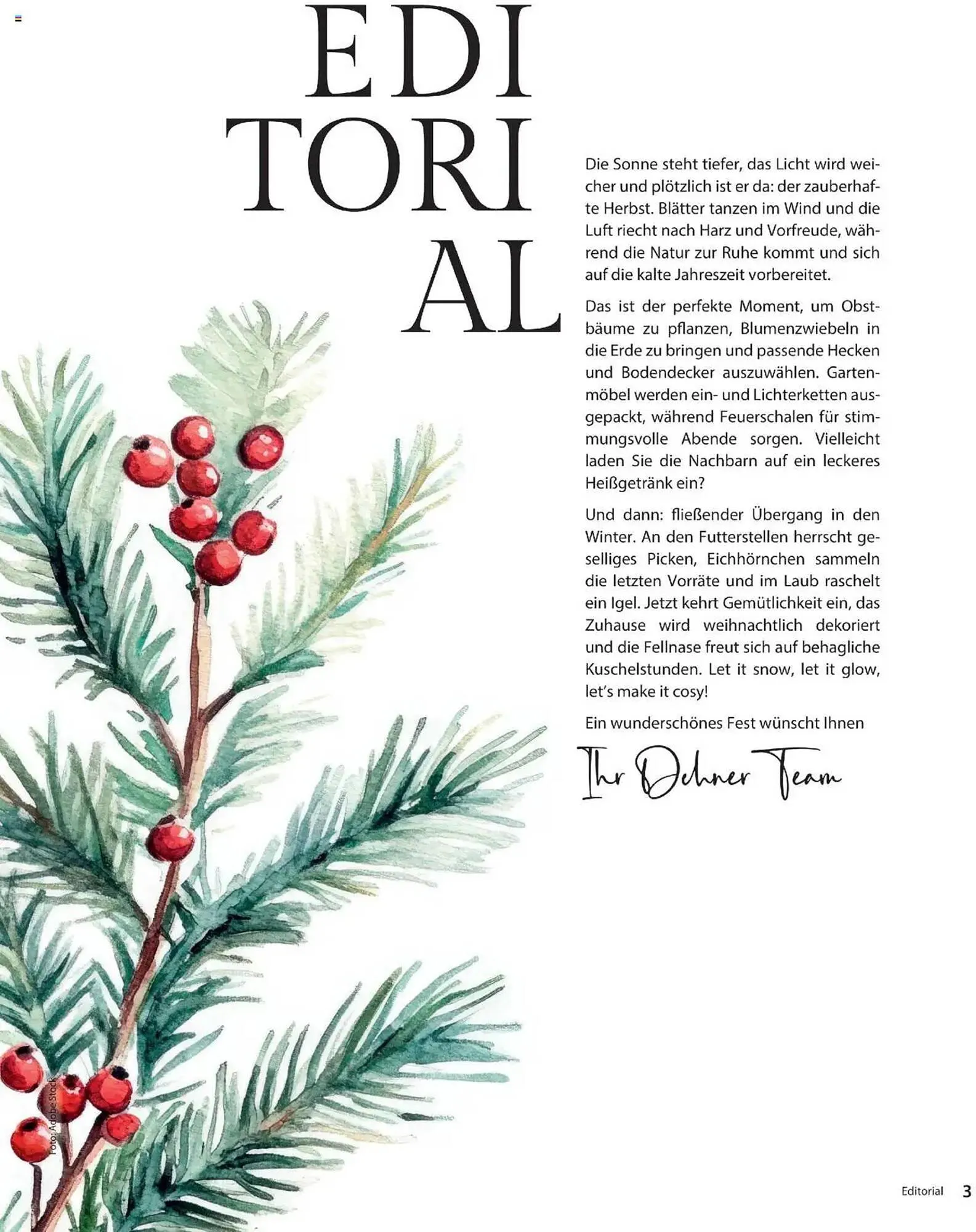 Dehner Flugblatt von 10. Oktober bis 30. November 2025 - Flugblätt seite 3