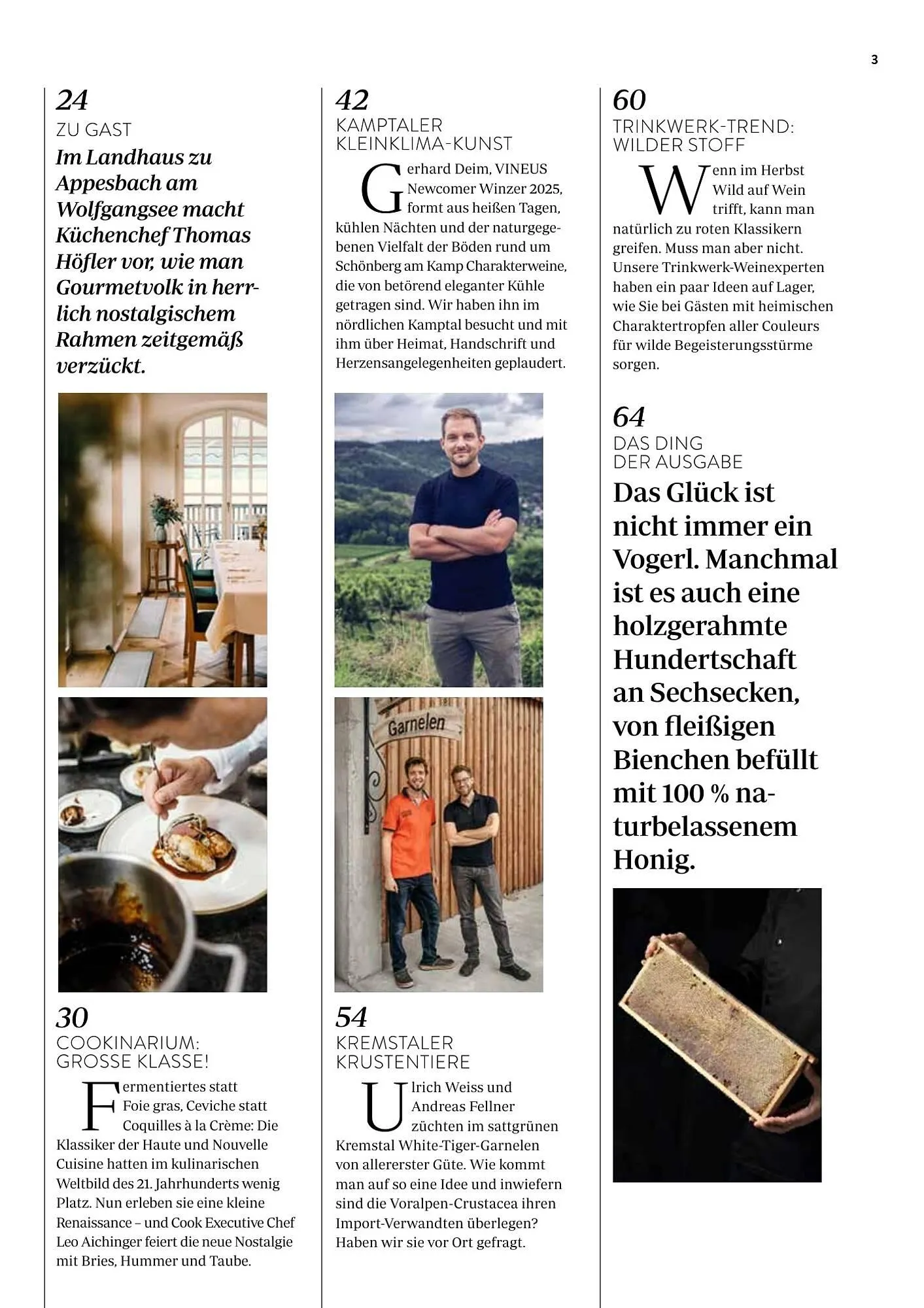 Transgourmet Flugblatt von 1. September bis 30. November 2025 - Flugblätt seite  5