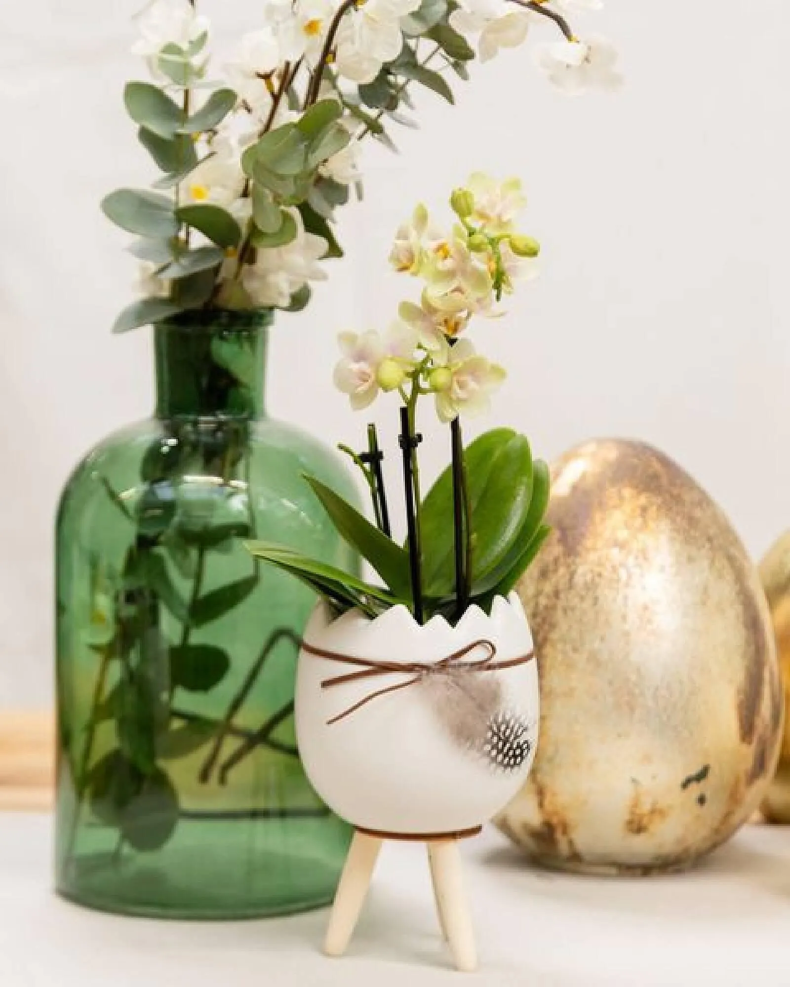 Bellaflora Flugblatt von 14. März bis 20. März 2024 - Flugblätt seite  