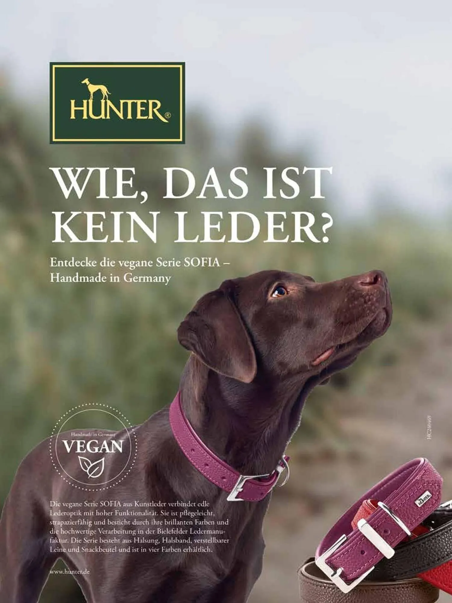 Das Futterhaus Flugblatt von 1. August bis 3. Oktober 2024 - Flugblätt seite 37