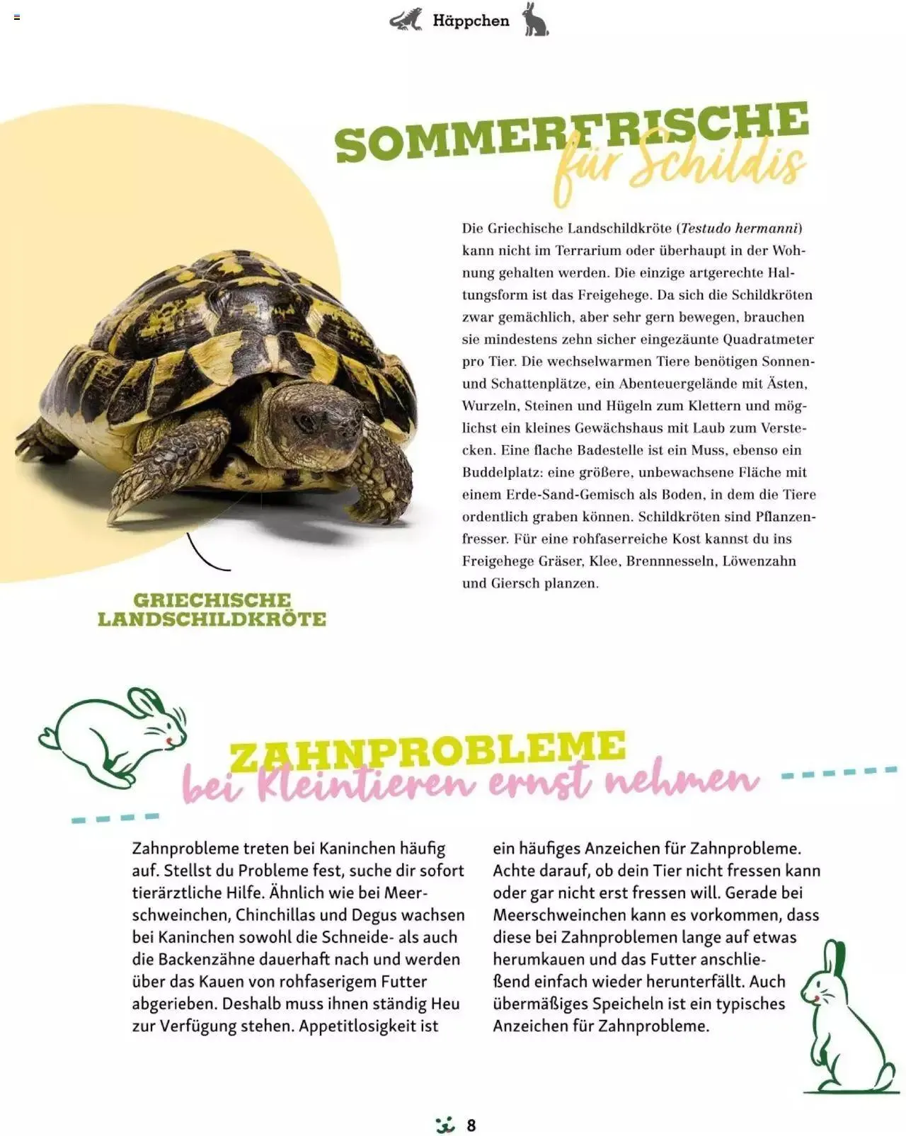 Fressnapf Friends 03/24 von 1. April bis 31. Dezember 2024 - Flugblätt seite 8