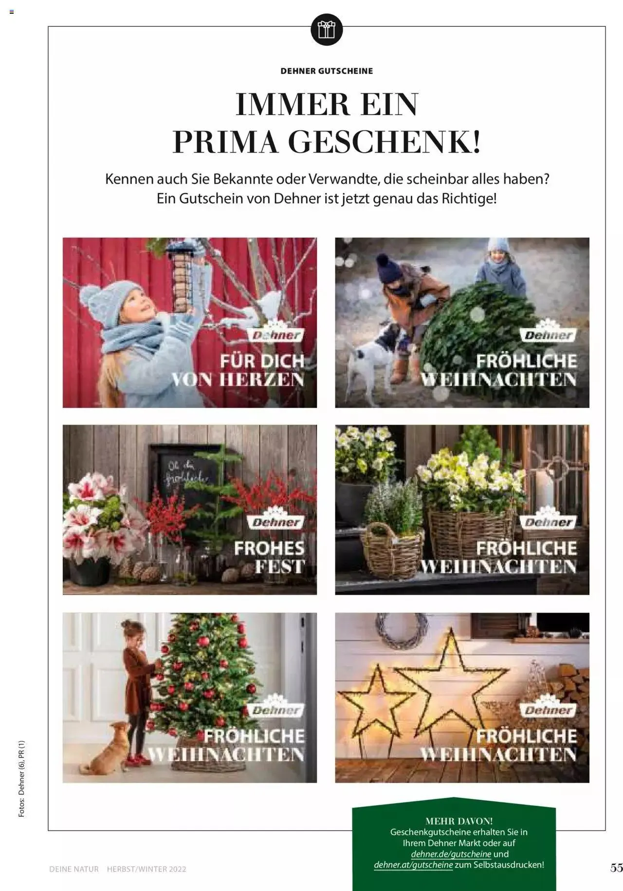 Dehner Flugblatt von 10. Oktober bis 31. Dezember 2023 - Flugblätt seite  55
