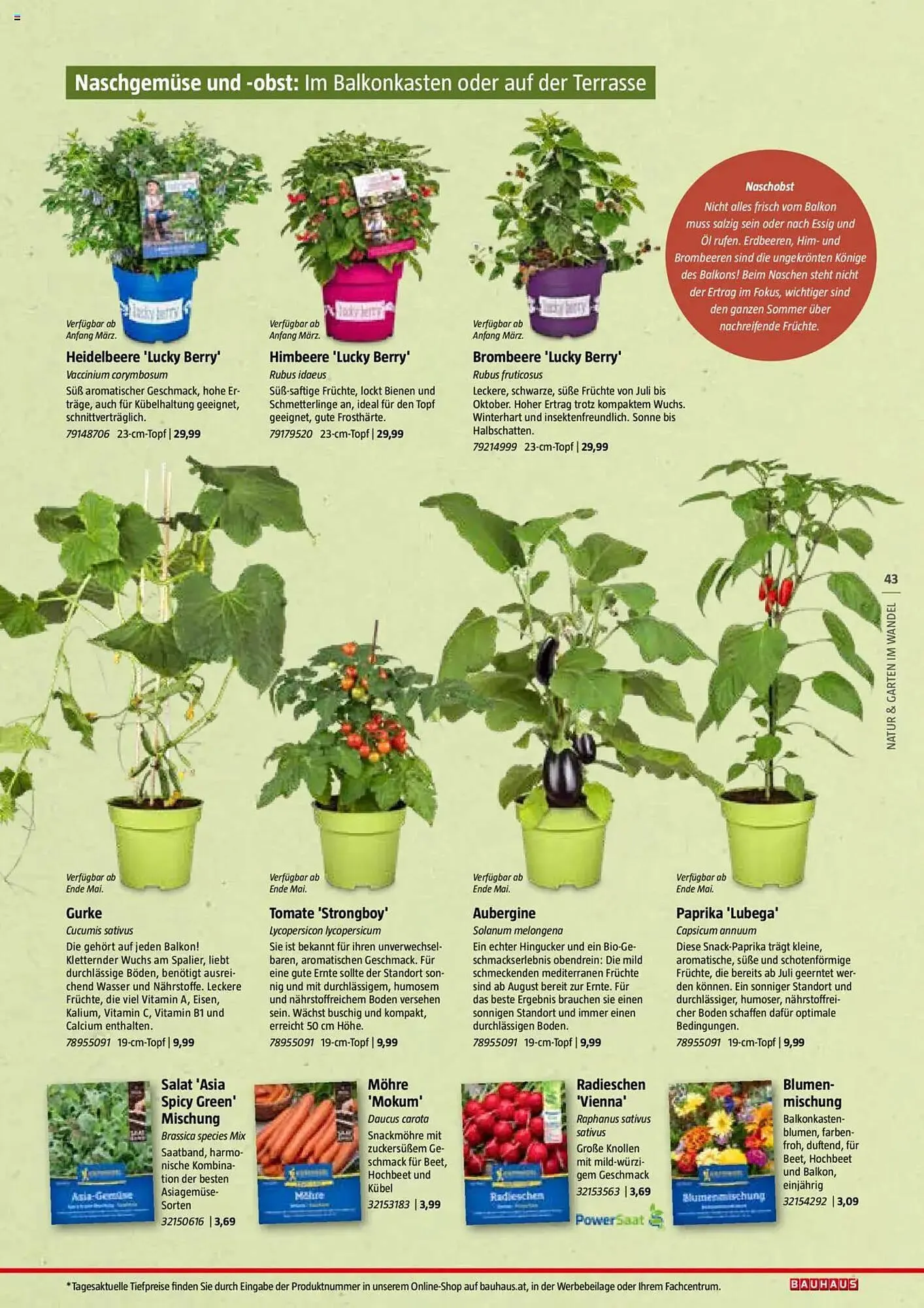 Bauhaus Flugblatt von 1. Juli bis 6. März 2026 - Flugblätt seite  43