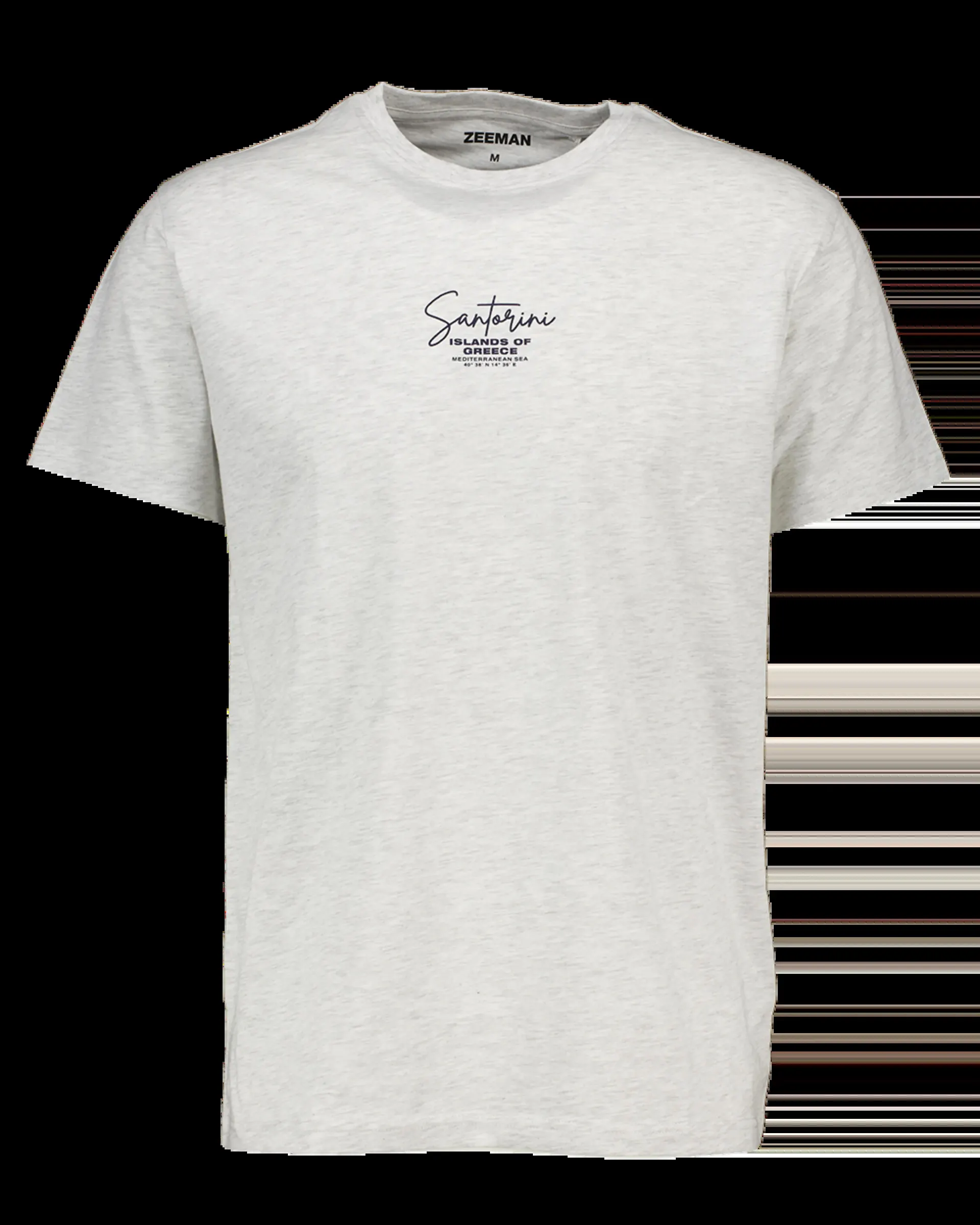 T-Shirt - Grau