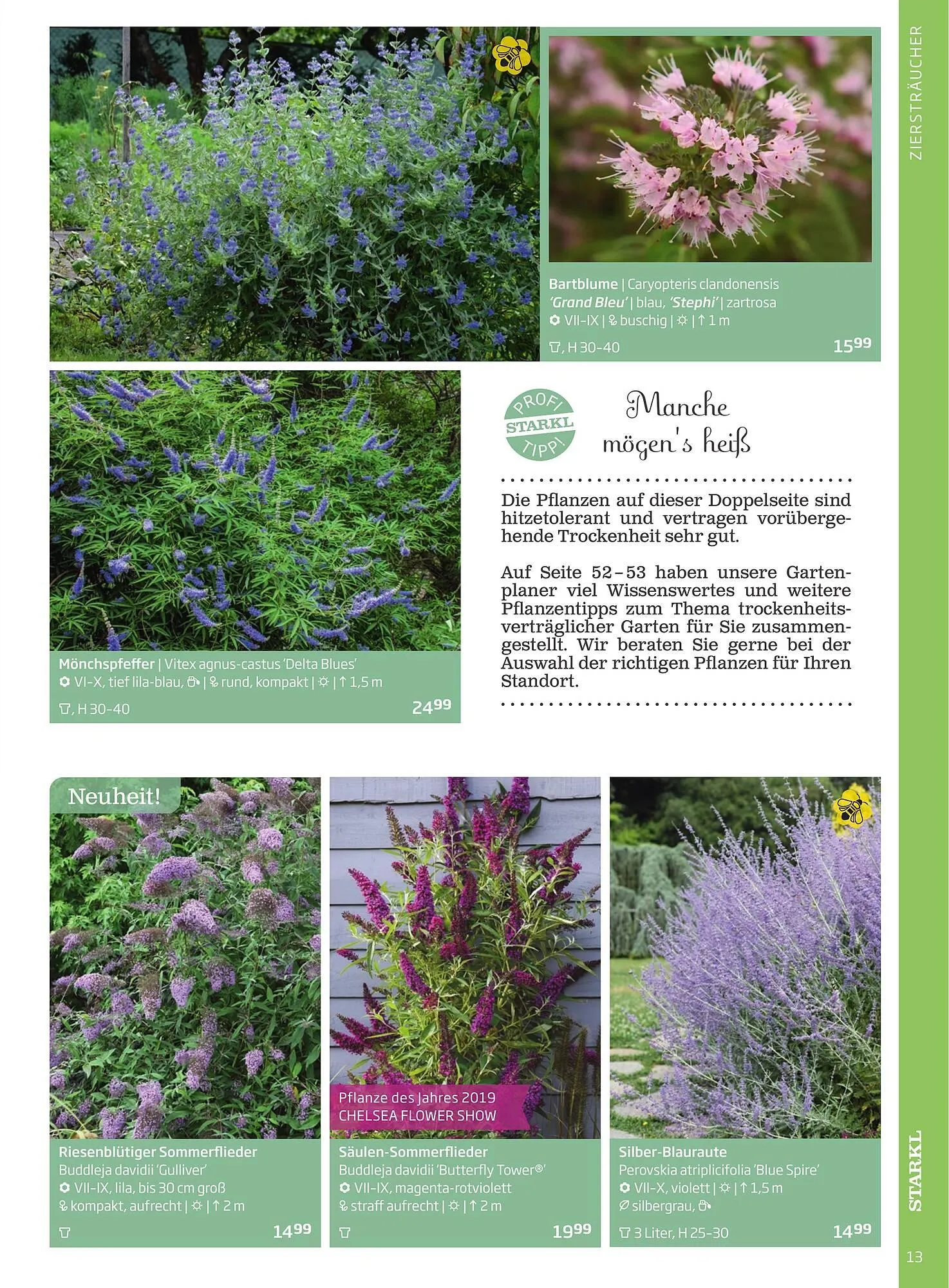 Starkl Flugblatt von 1. Jänner bis 31. Dezember 2023 - Flugblätt seite 13