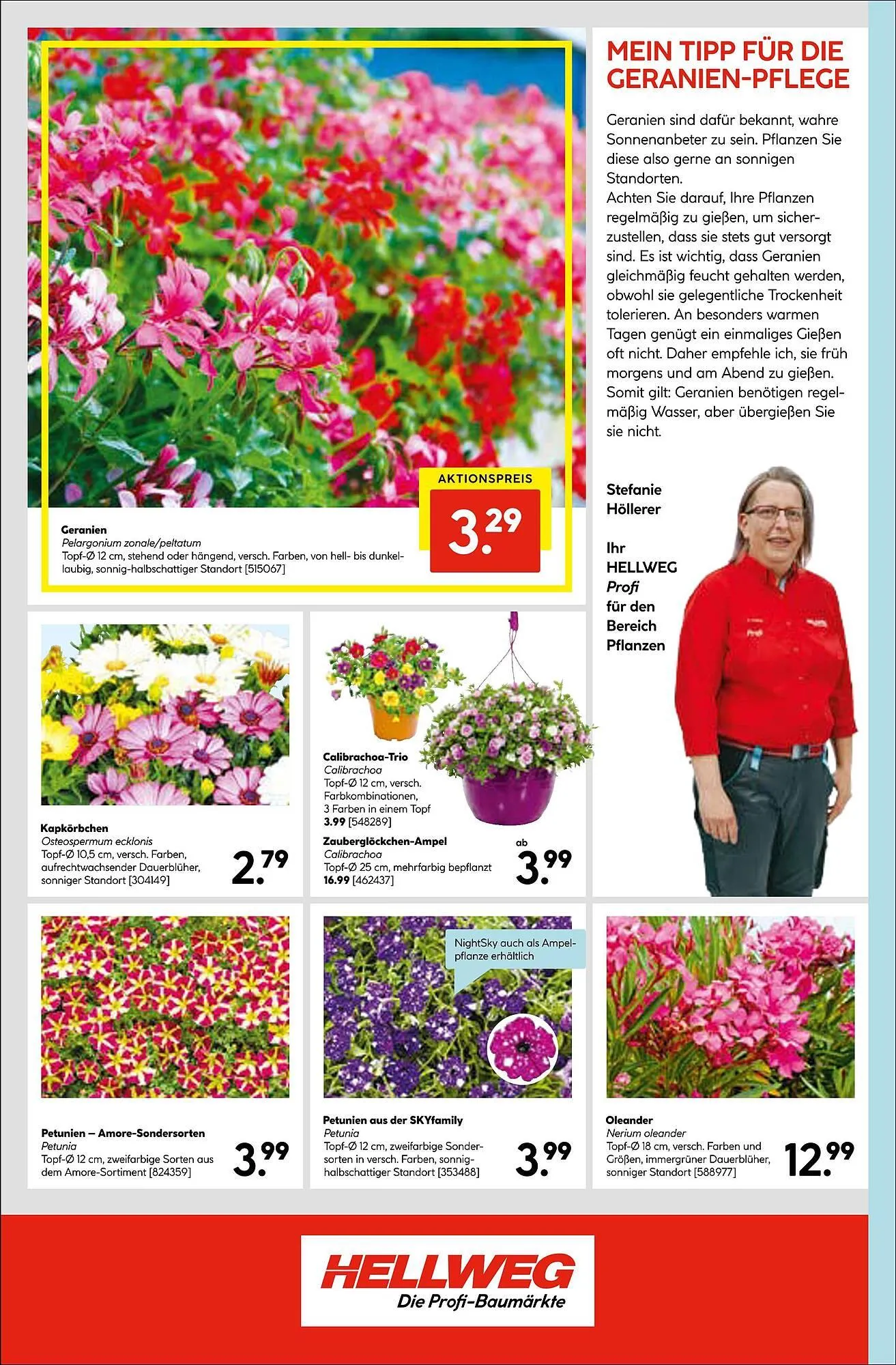 Hellweg Flugblatt von 16. Mai bis 28. Mai 2024 - Flugblätt seite 20