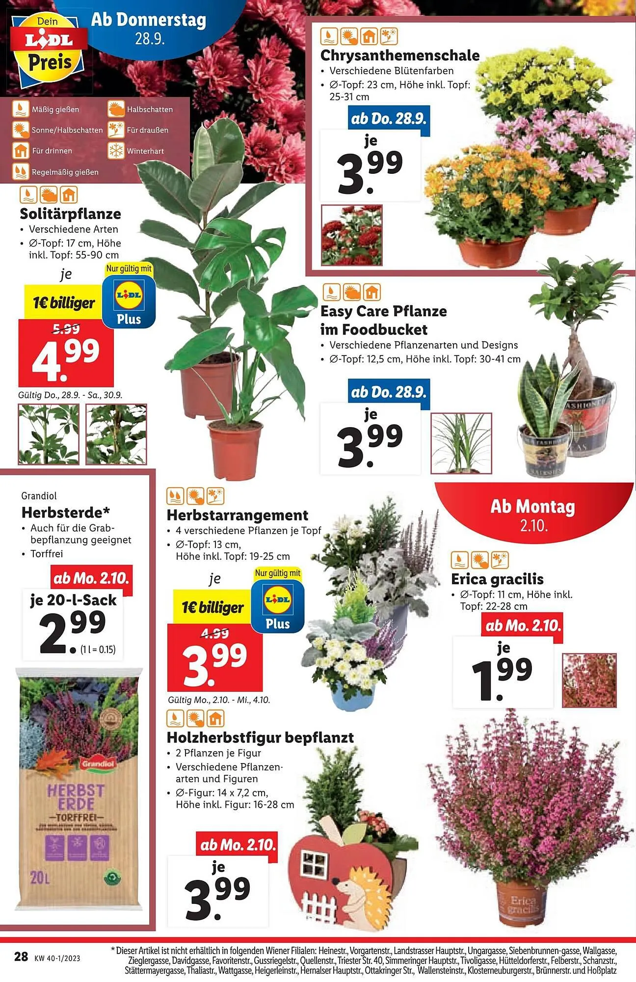 Lidl Flugblatt von 27. September bis 4. Oktober 2023 - Flugblätt seite  28