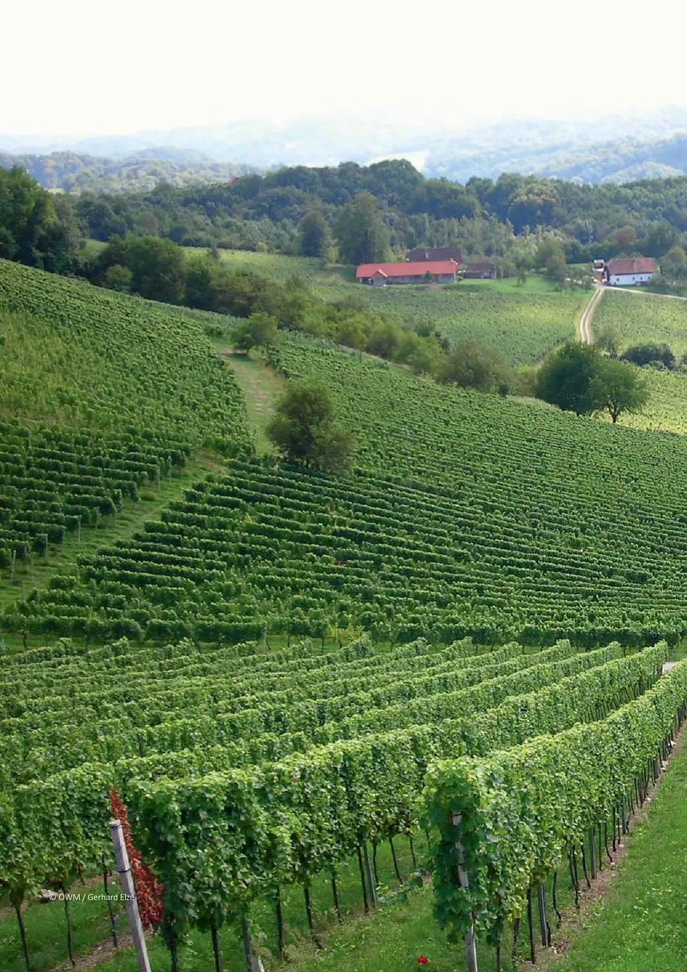 Kastner Flugblatt von 1. Juli bis 30. Dezember 2024 - Flugblätt seite  134