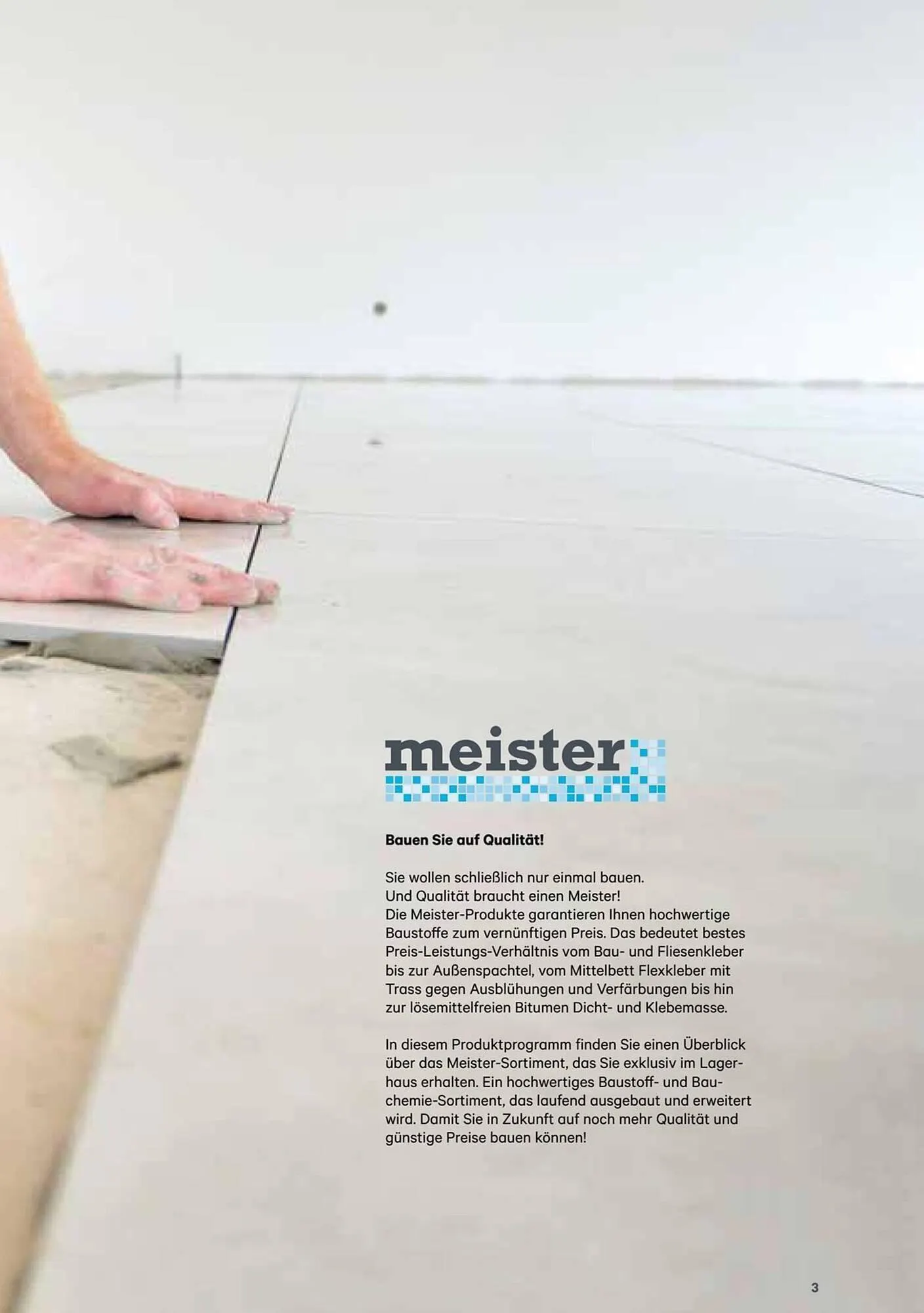 Lagerhaus Flugblatt von 1. Jänner bis 31. Dezember 2026 - Flugblätt seite 3