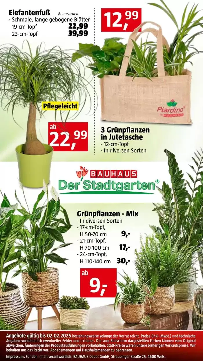 Bauhaus Angebote von 30. Jänner bis 28. Februar 2025 - Flugblätt seite 10