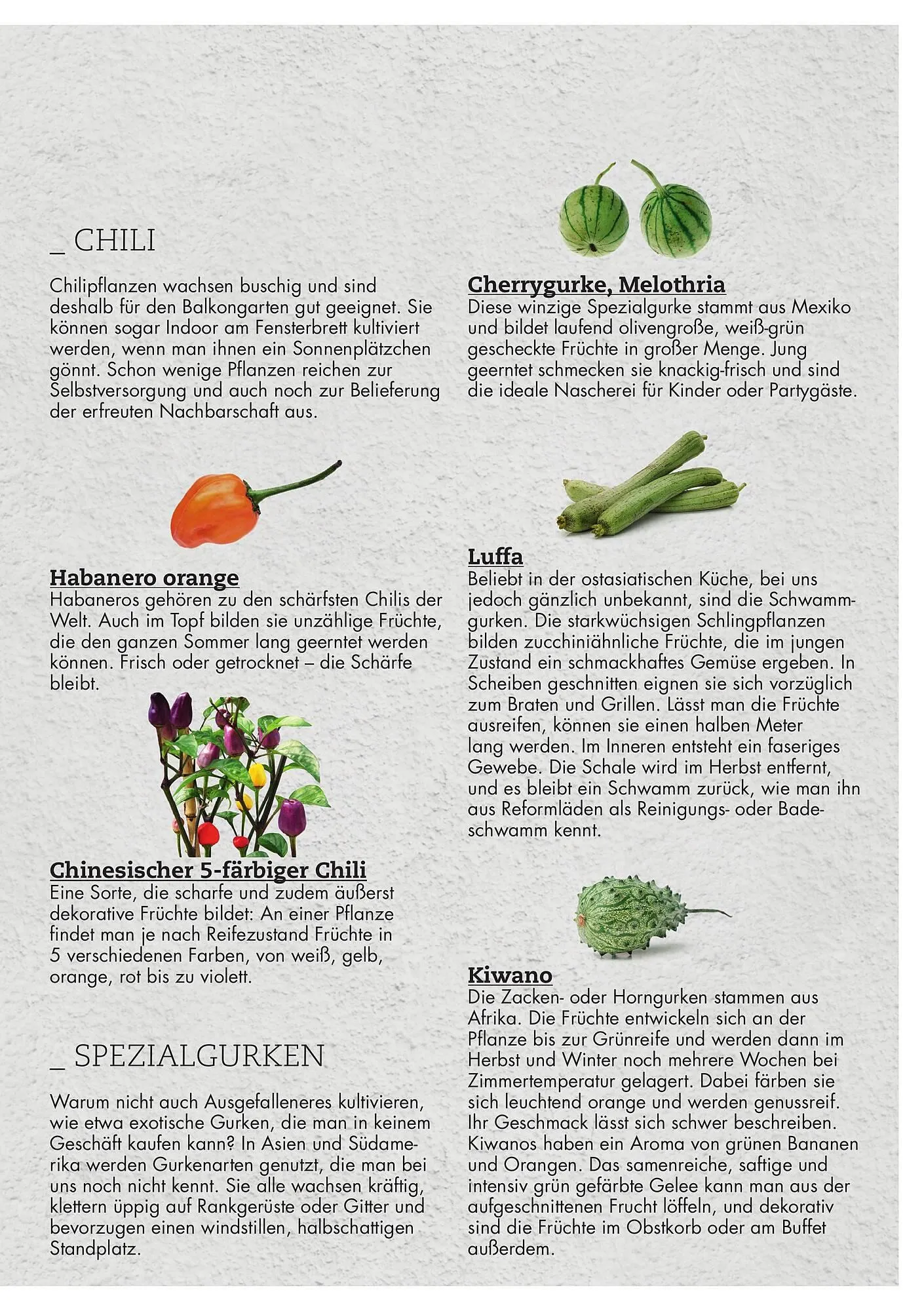 Bellaflora Flugblatt von 3. Jänner bis 31. Mai 2025 - Flugblätt seite 17