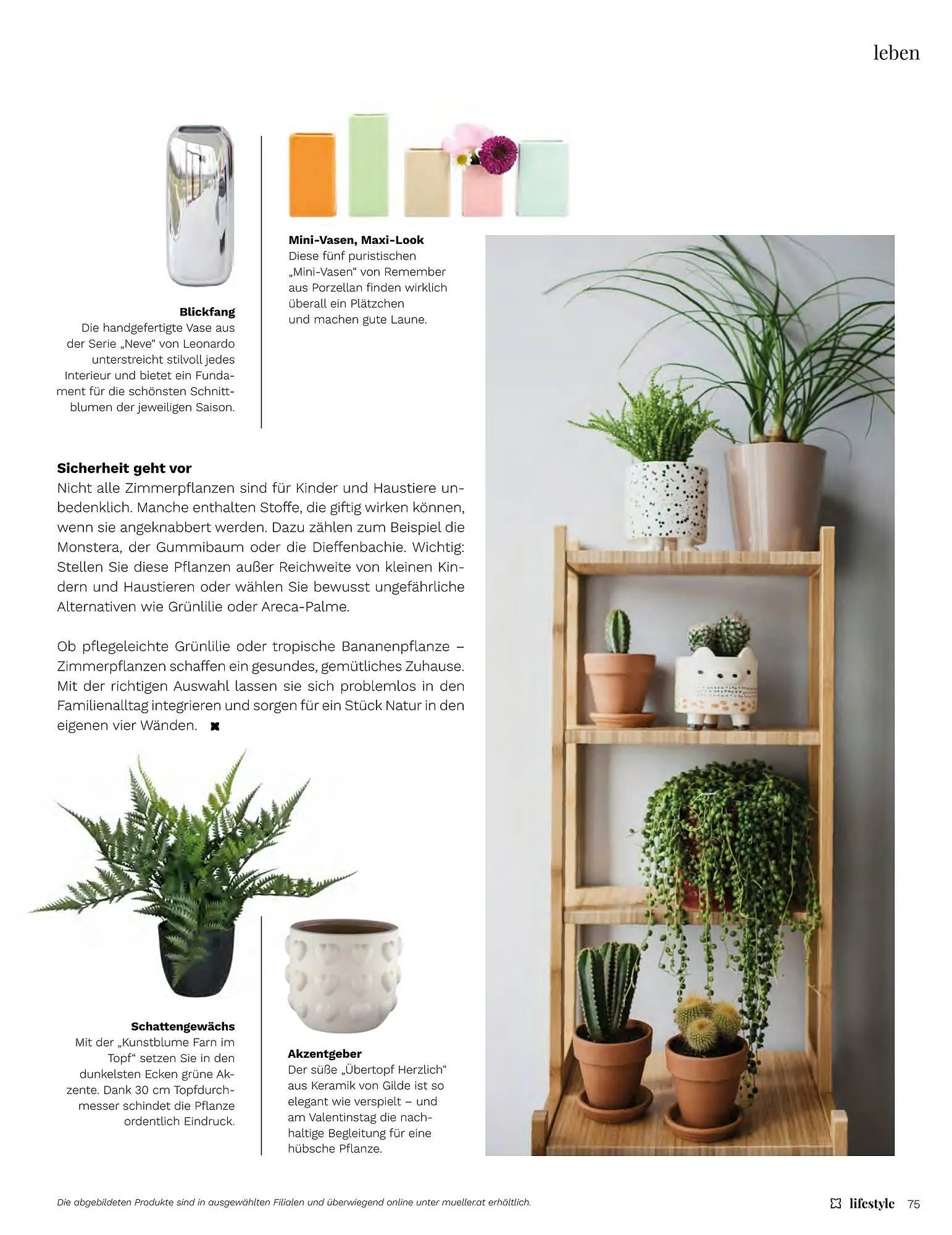 Müller Flugblatt von 1. Jänner bis 28. Februar 2026 - Flugblätt seite  75