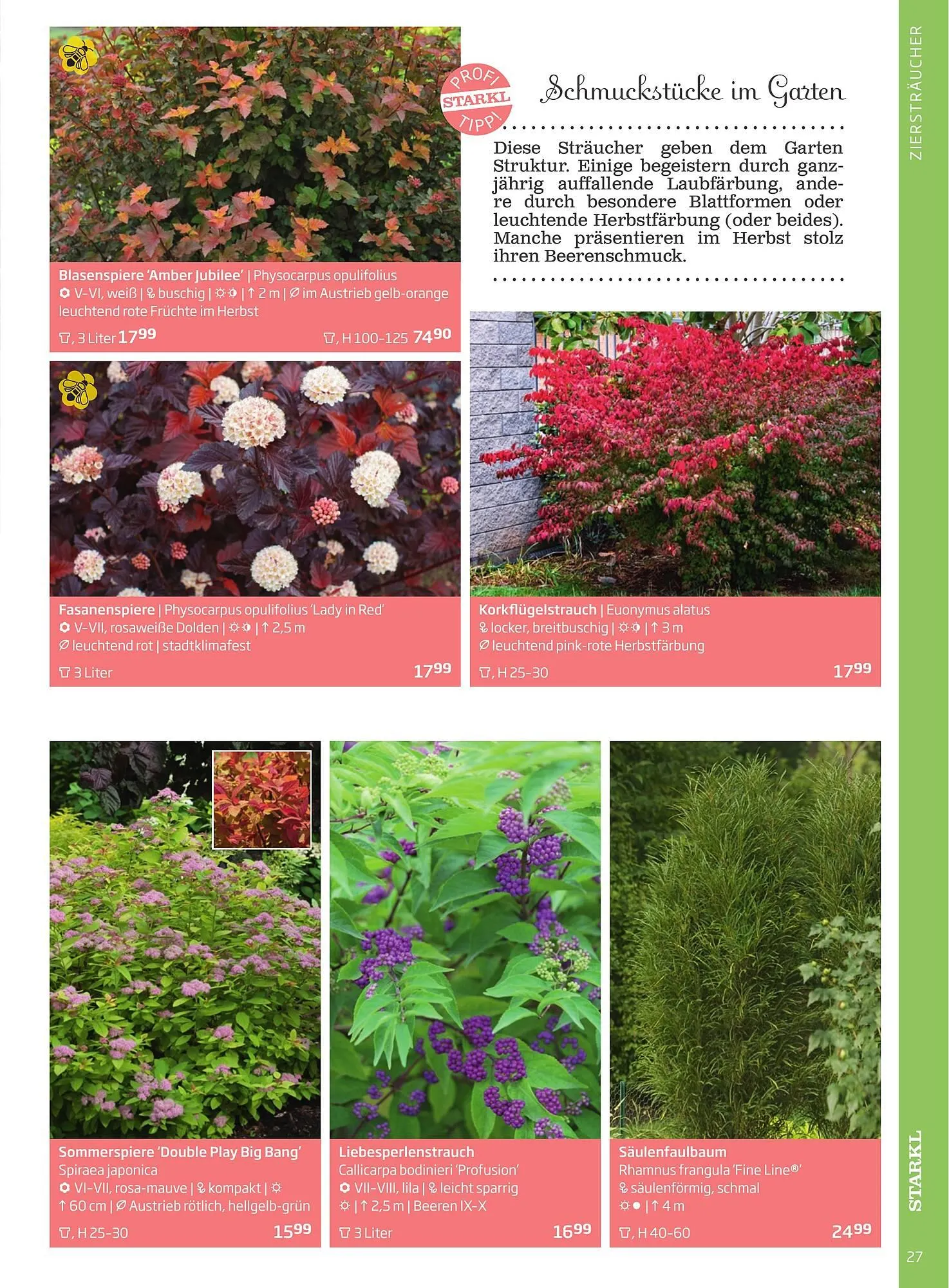 Starkl Flugblatt von 6. Juni bis 31. Dezember 2025 - Flugblätt seite  27