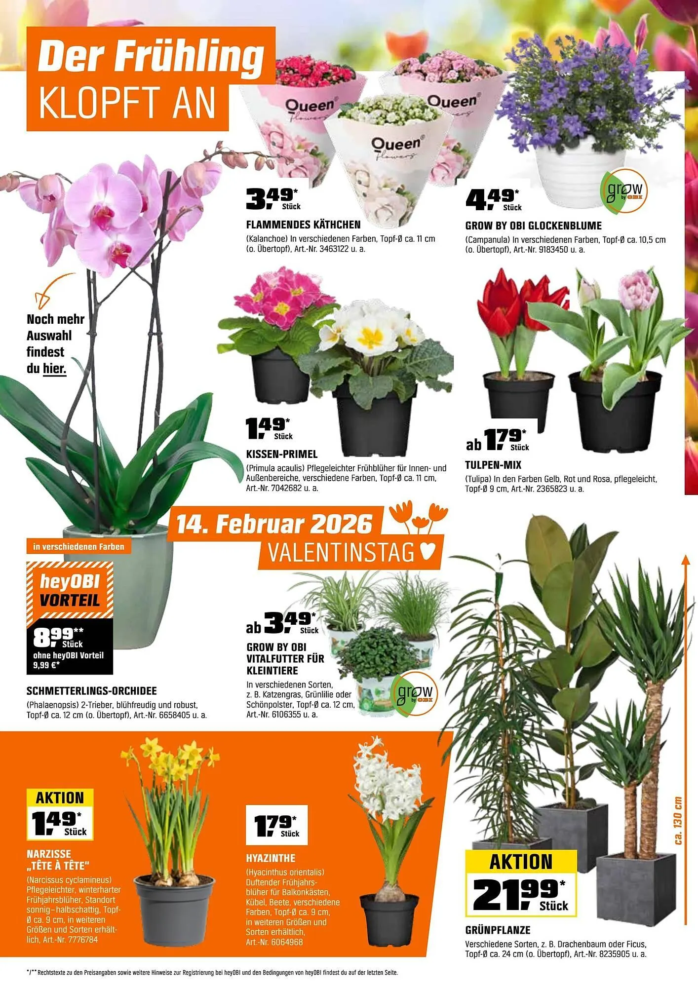 OBI Flugblatt von 1. Februar bis 28. Februar 2026 - Flugblätt seite  7