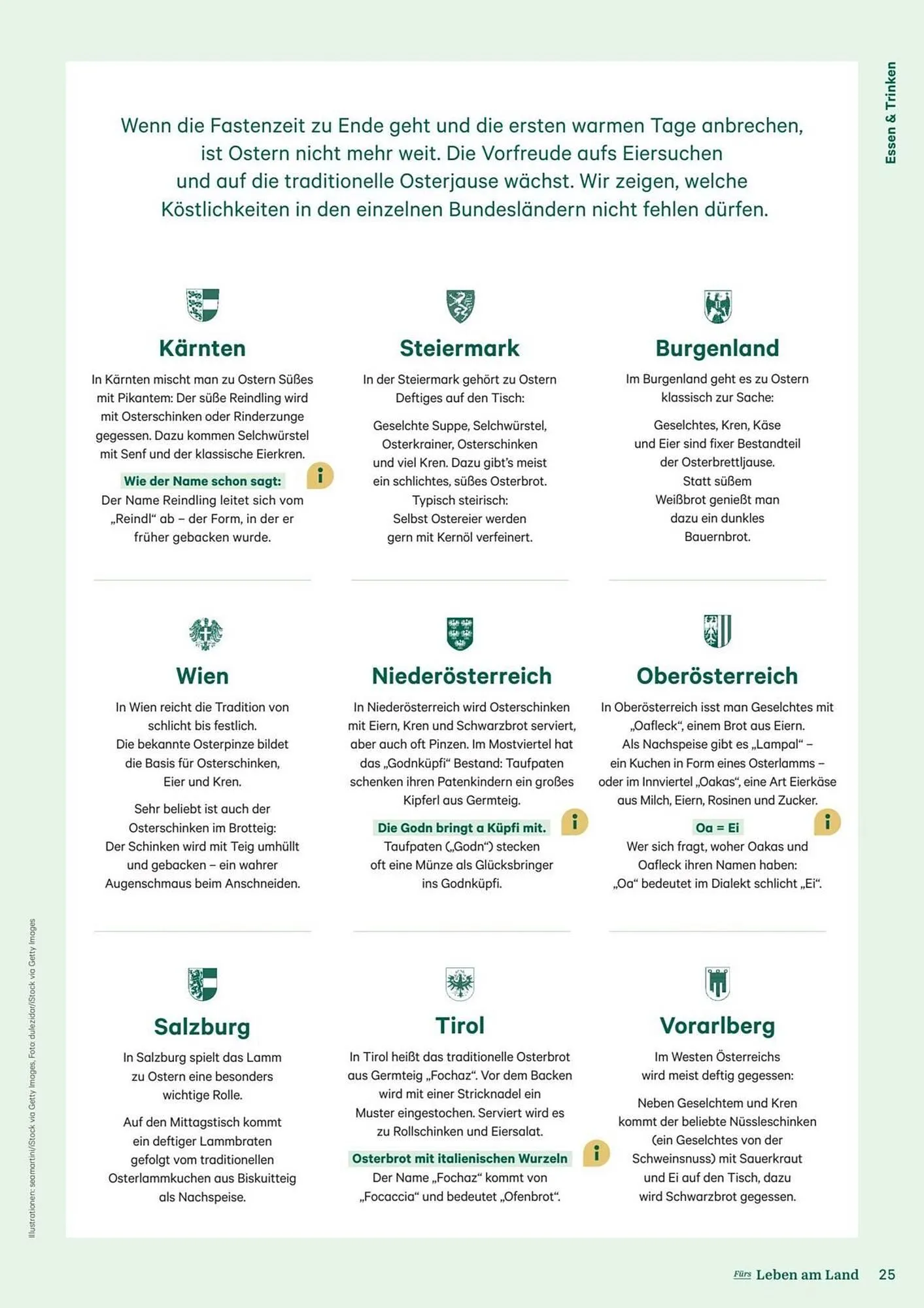 Lagerhaus Flugblatt von 1. Februar bis 28. Februar 2026 - Flugblätt seite 25