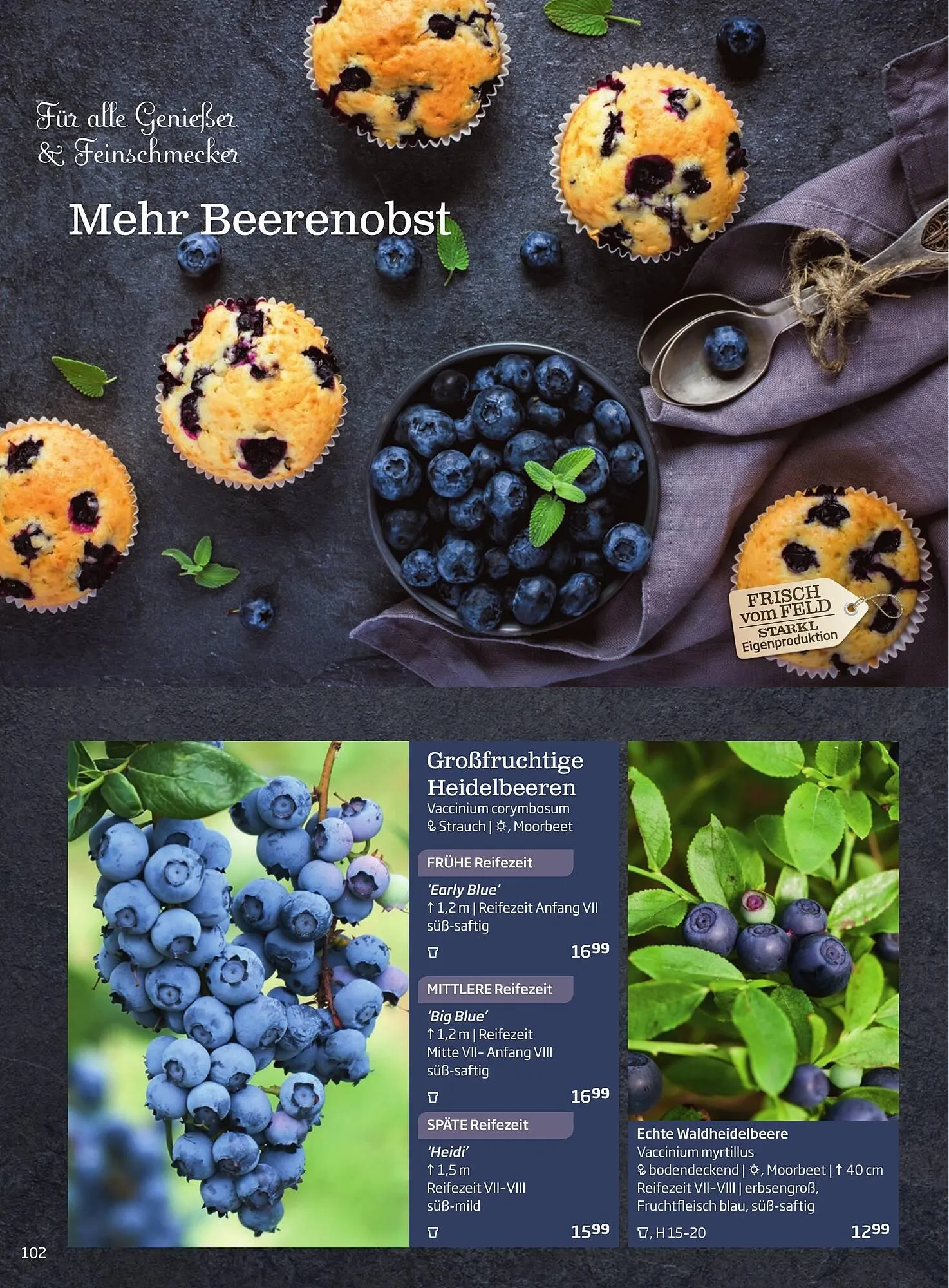 Starkl Flugblatt von 6. Juni bis 31. Dezember 2025 - Flugblätt seite 102