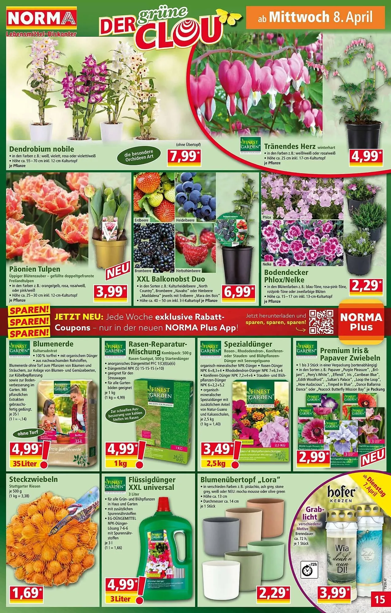Norma Prospekt von 7. April bis 12. April 2026 - Flugblätt seite  15