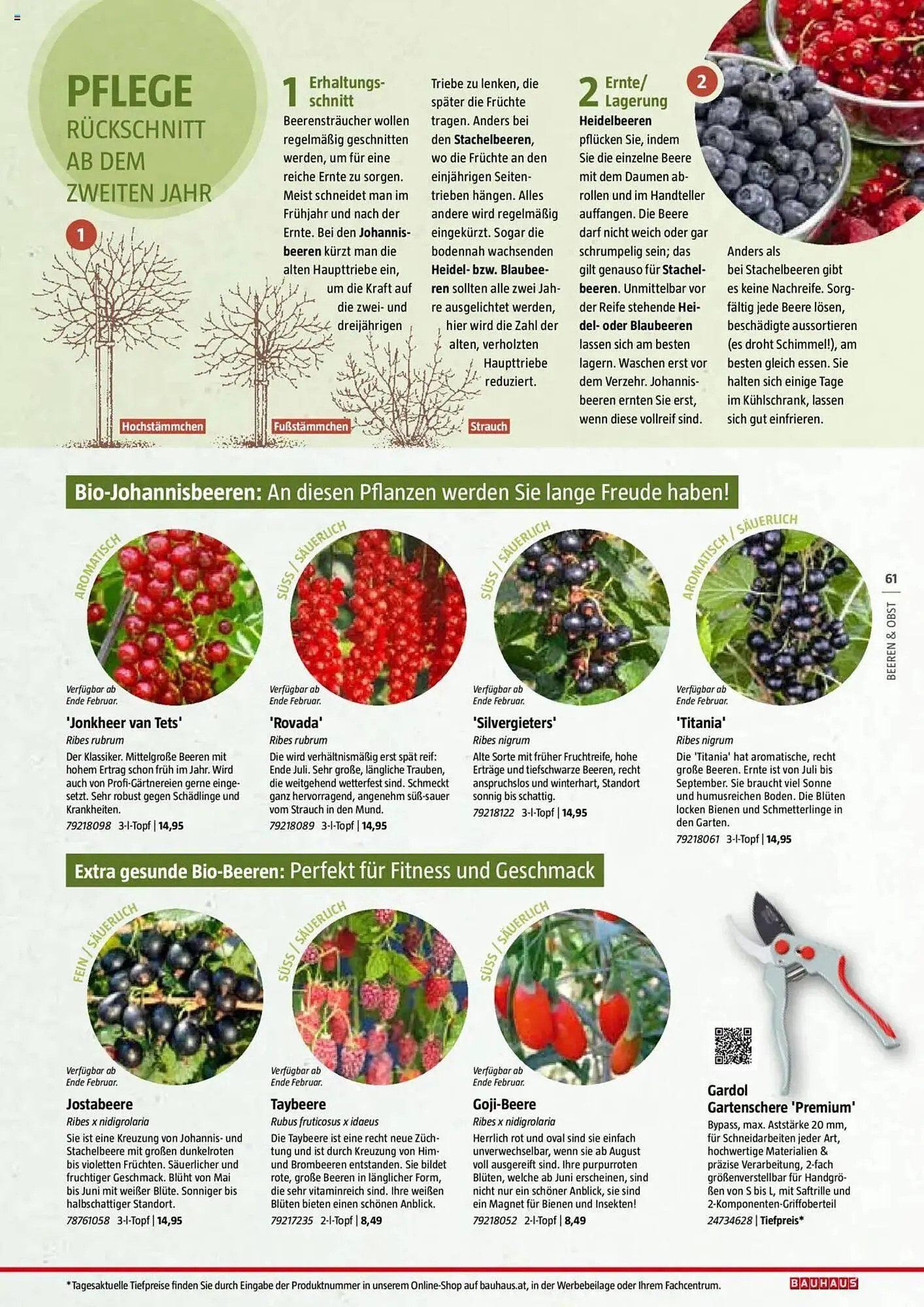 Bauhaus Flugblatt von 1. Juli bis 6. März 2026 - Flugblätt seite 61