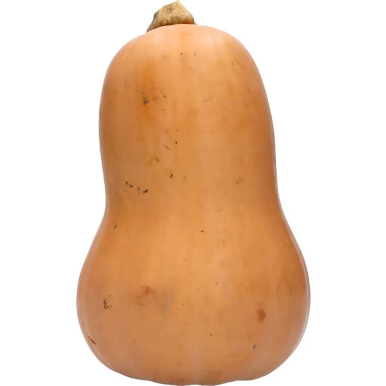 Bio Butternut Kürbis