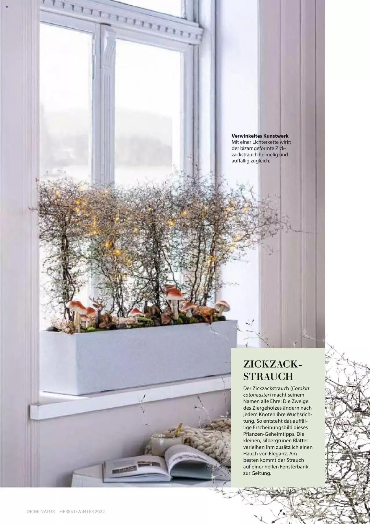 Dehner Flugblatt von 10. Oktober bis 31. Dezember 2023 - Flugblätt seite 7