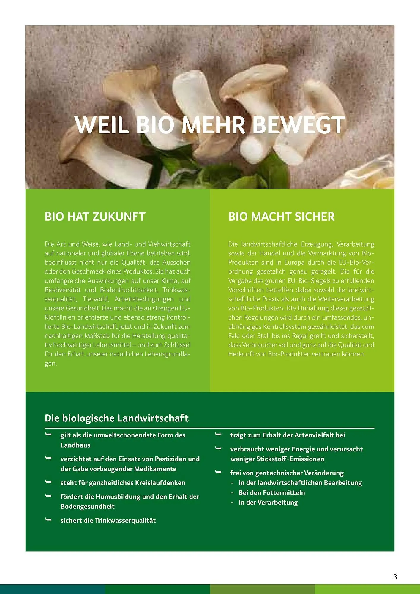 Transgourmet Flugblatt von 25. Februar bis 31. Dezember 2025 - Flugblätt seite 3