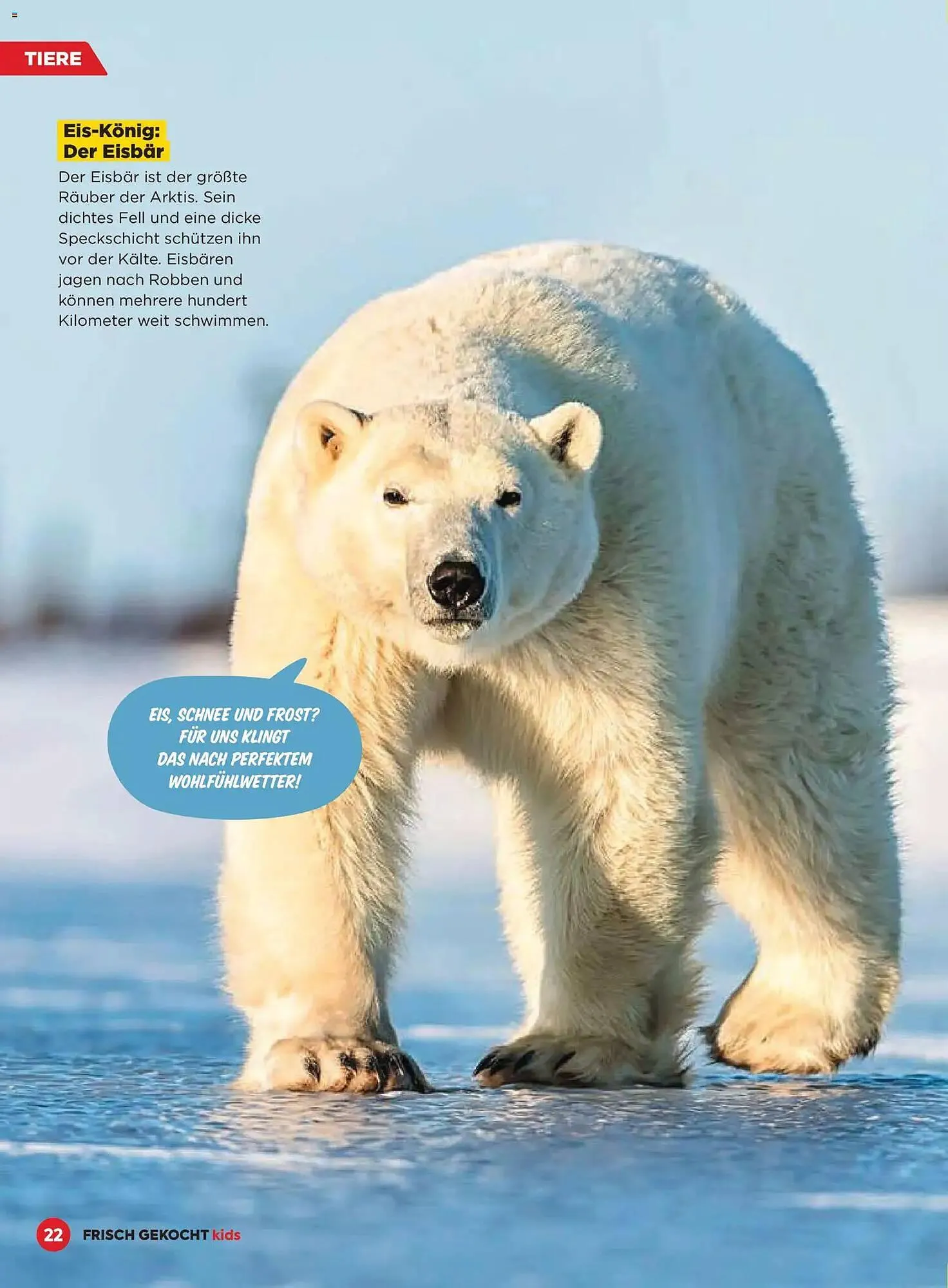 Billa Flugblatt von 1. Dezember bis 28. Februar 2026 - Flugblätt seite  22