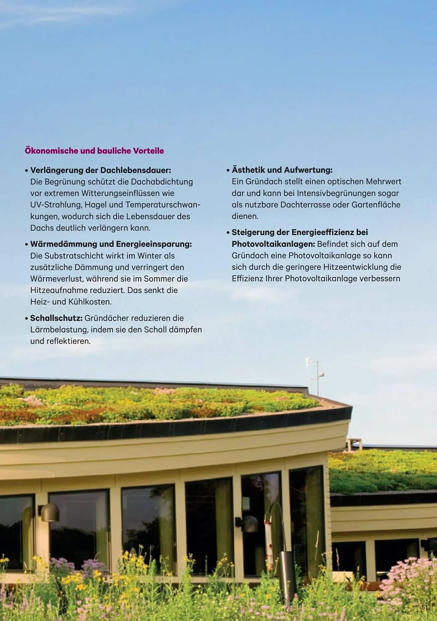 Lagerhaus Flugblatt von 1. Jänner bis 31. Dezember 2026 - Flugblätt seite 51