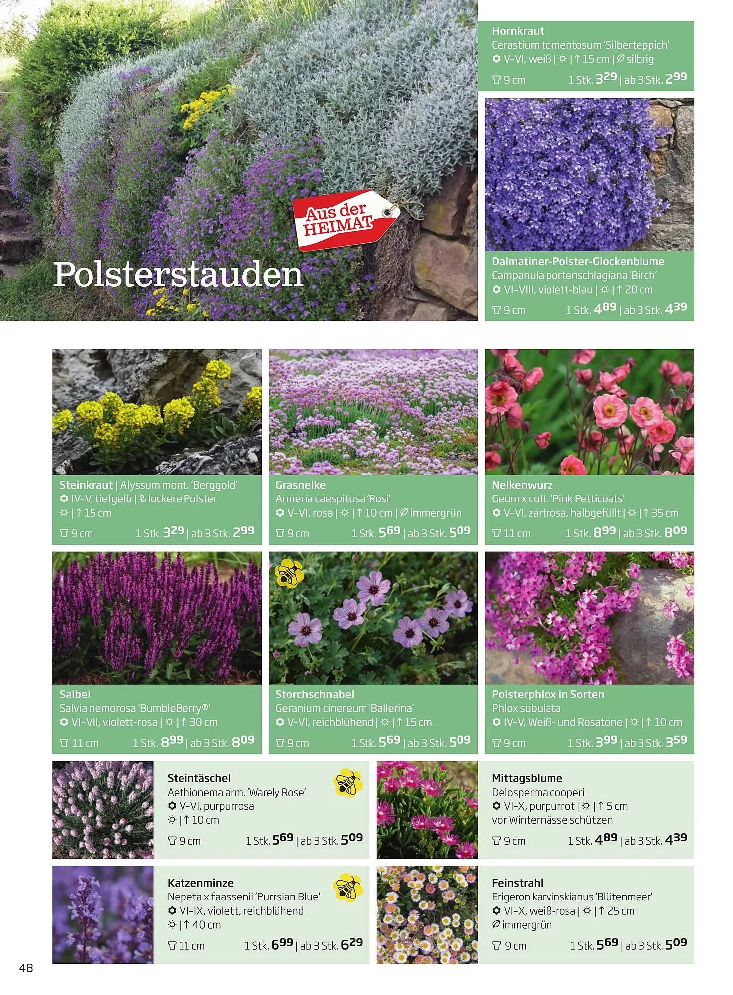 Starkl Flugblatt von 1. Jänner bis 31. Dezember 2023 - Flugblätt seite  48