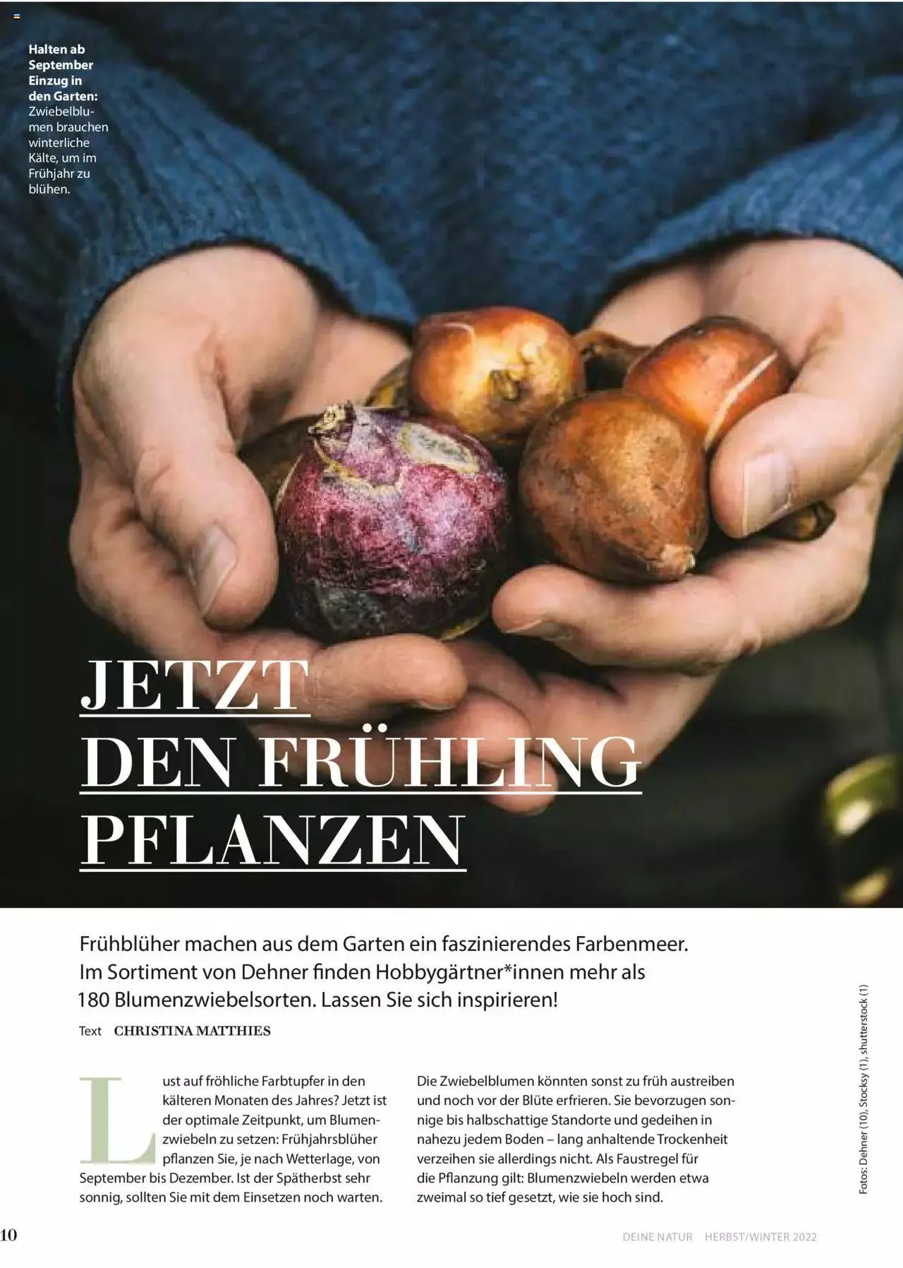 Dehner Flugblatt von 10. Oktober bis 31. Dezember 2023 - Flugblätt seite 10