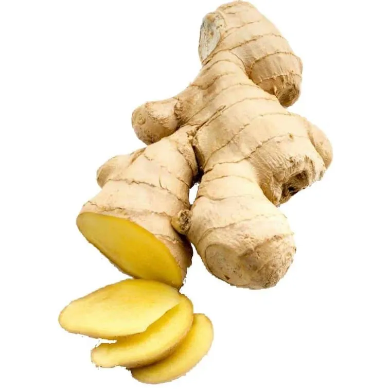 BIO Ingwer