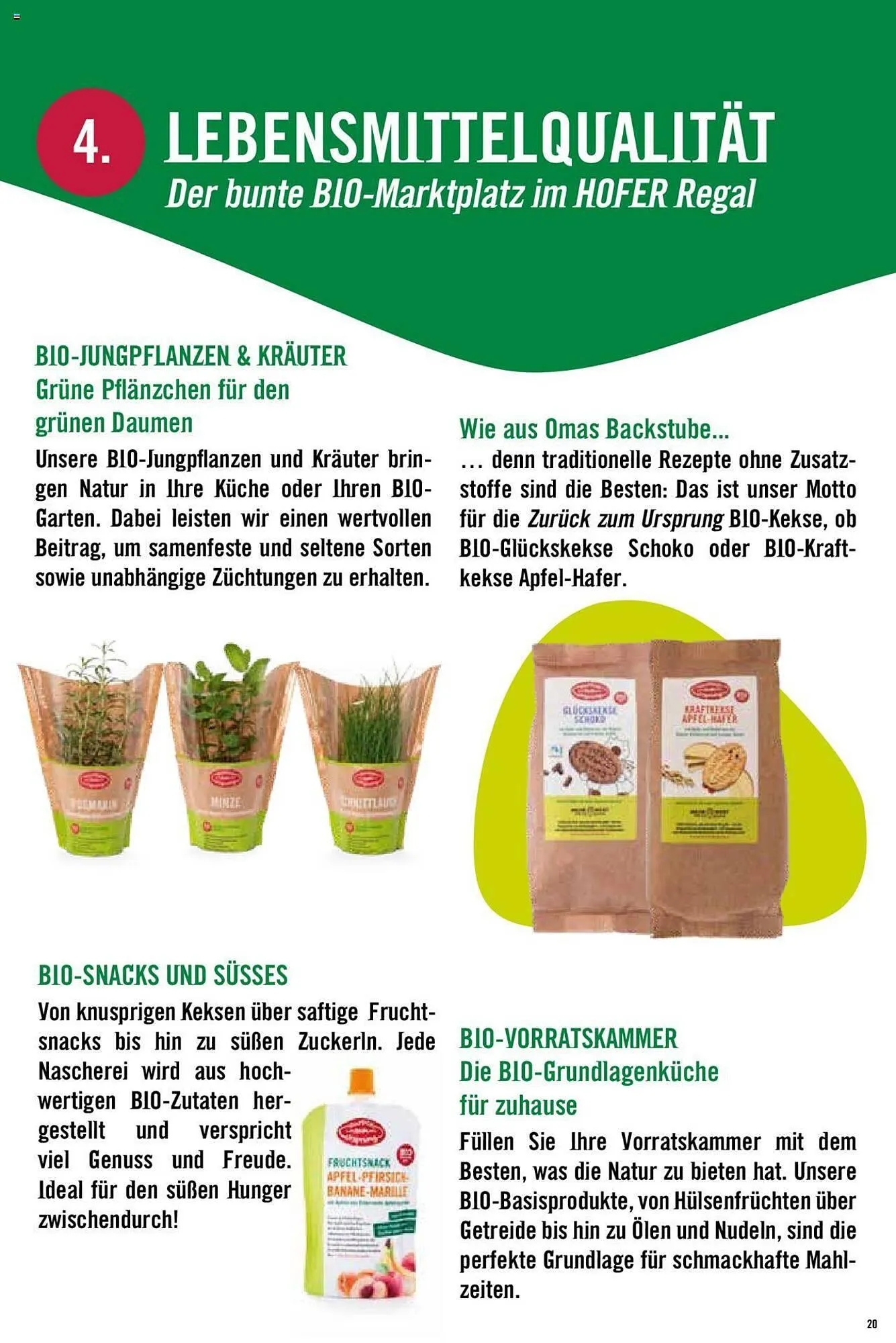 Hofer Flugblatt von 8. Oktober bis 4. März 2026 - Flugblätt seite  20