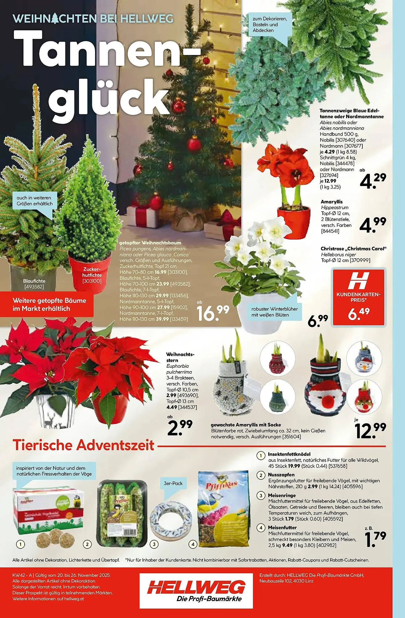 Hellweg Prospekt von 20. November bis 26. November 2025 - Flugblätt seite  16