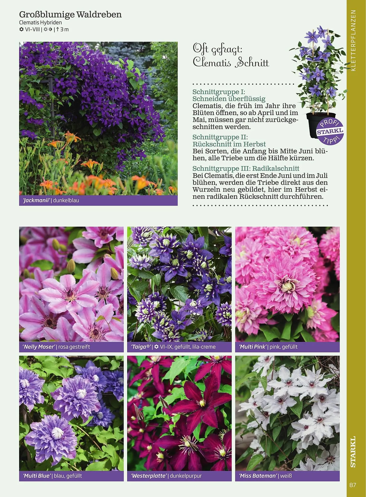 Starkl Flugblatt von 1. April bis 31. Dezember 2024 - Flugblätt seite  87