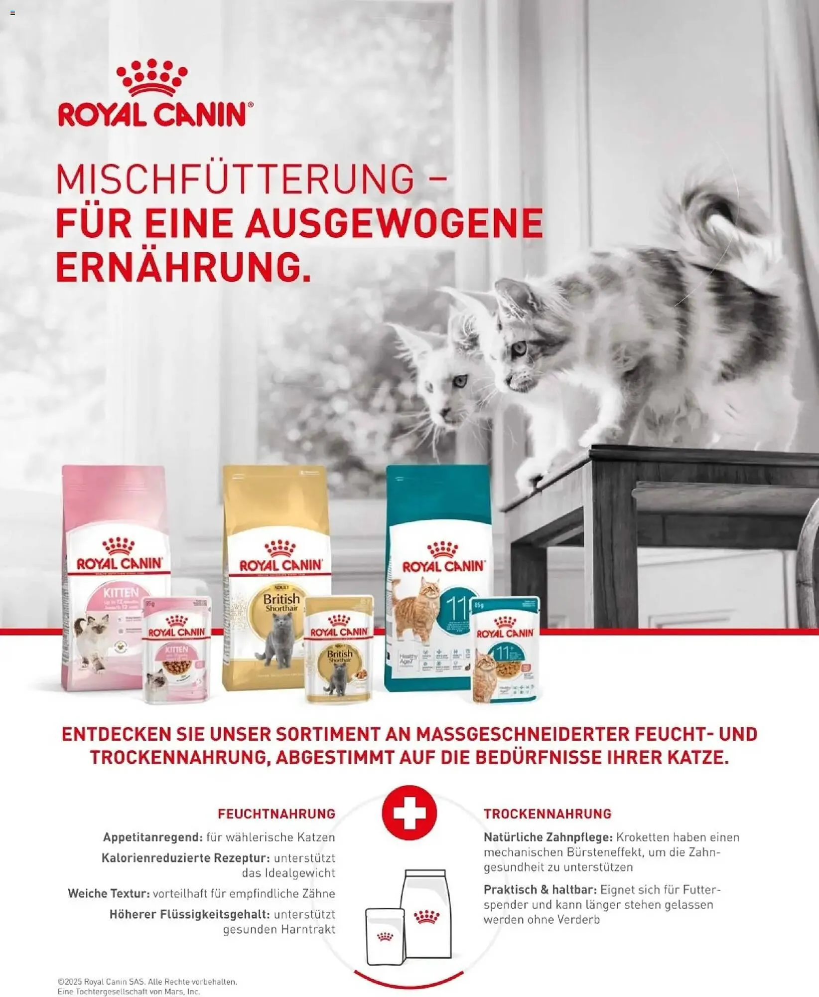 Fressnapf Flugblatt von 1. Jänner bis 28. Februar 2026 - Flugblätt seite 9