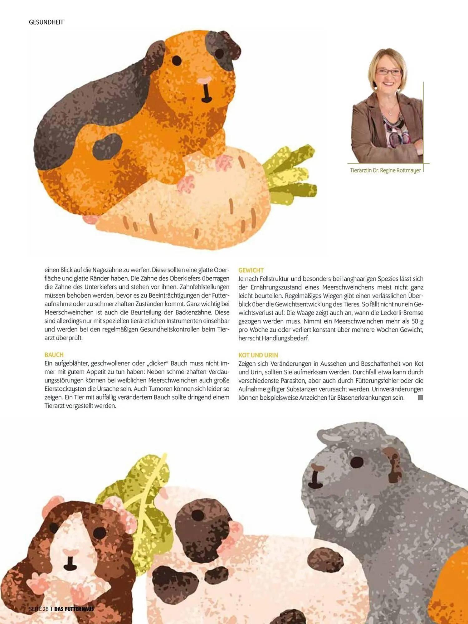 Das Futterhaus Flugblatt von 1. August bis 3. Oktober 2024 - Flugblätt seite 28