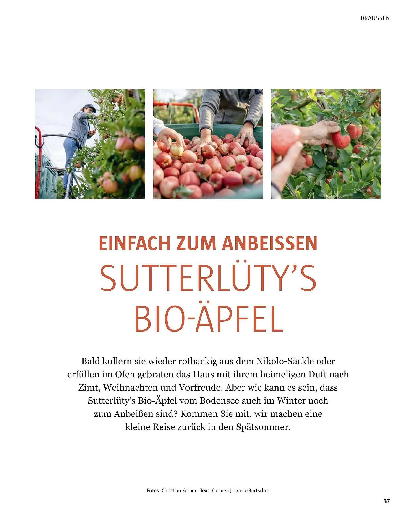 Sutterlüty Flugblatt von 17. November bis 29. Jänner 2026 - Flugblätt seite  102