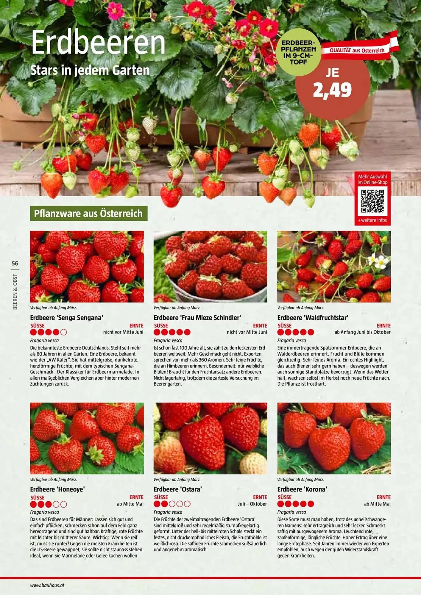 Bauhaus Flugblatt von 1. Juli bis 6. März 2026 - Flugblätt seite 56