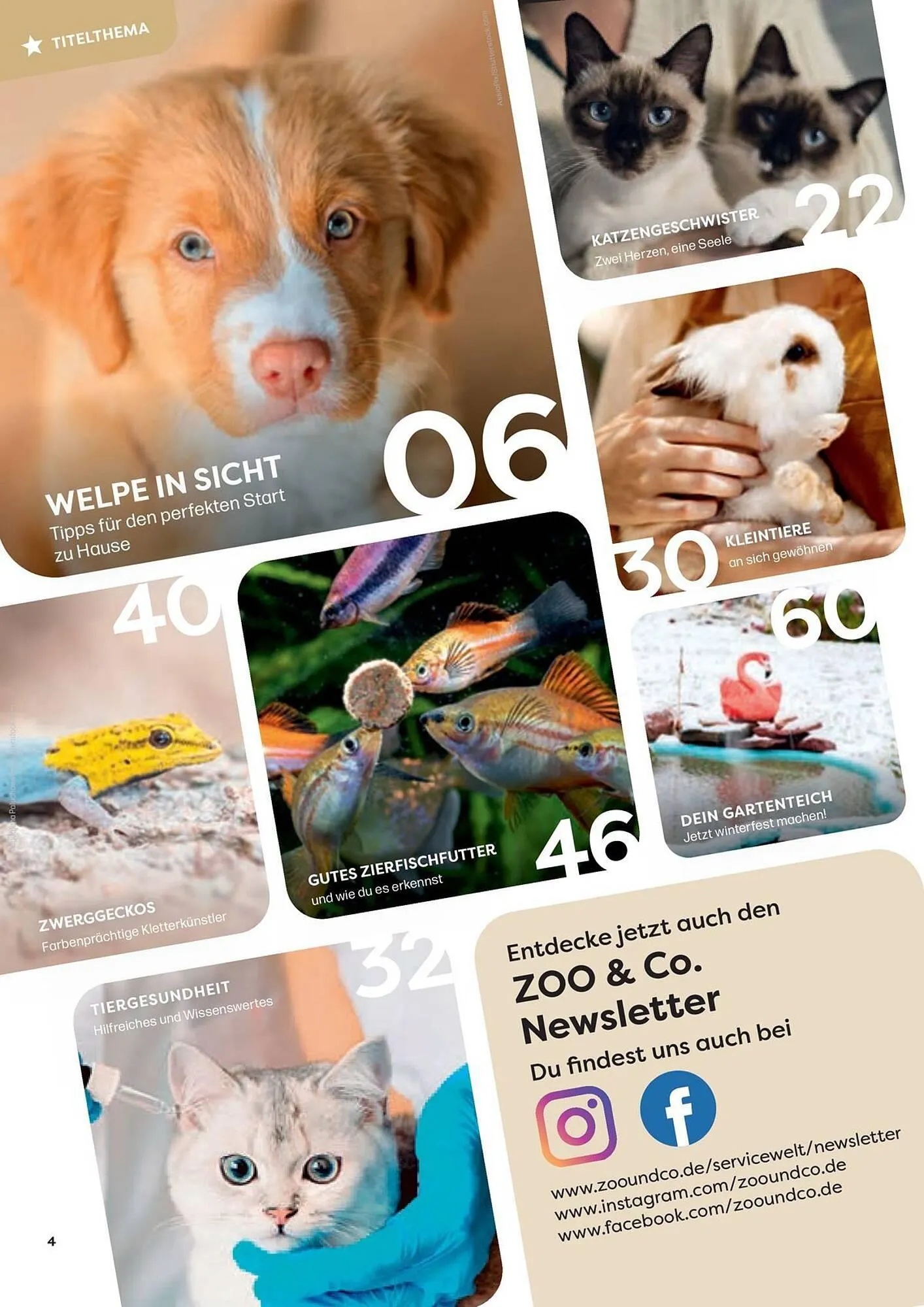 ZOO & Co Flugblatt von 30. August bis 8. November 2024 - Flugblätt seite 4