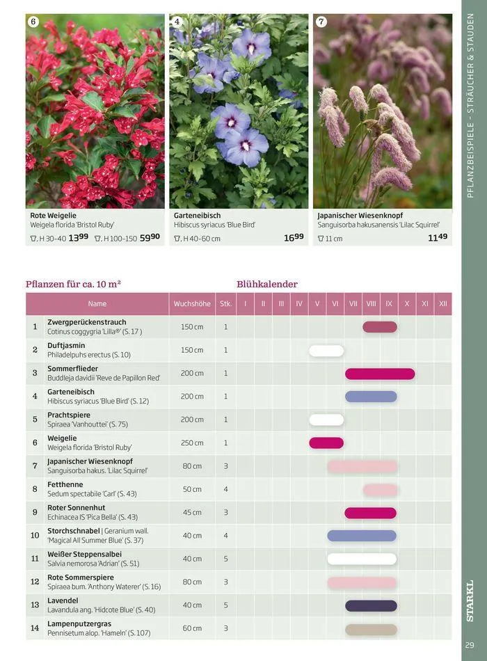 Gartencenter Jahreskatalog 2024 von 20. Mai bis 31. Dezember 2024 - Flugblätt seite  29