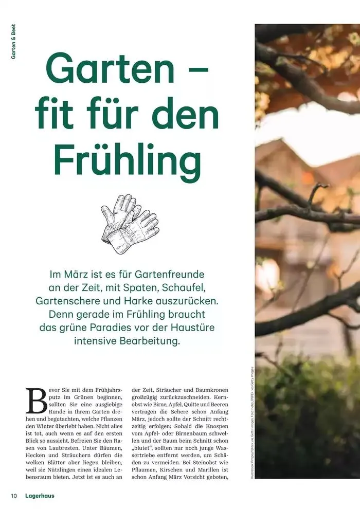 Nr. 1 - Lagerhaus Magazin 2025 von 28. Jänner bis 11. Februar 2025 - Flugblätt seite  10