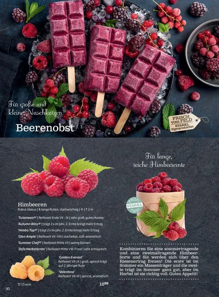 Gartencenter Jahreskatalog 2024 von 20. Mai bis 31. Dezember 2024 - Flugblätt seite  90