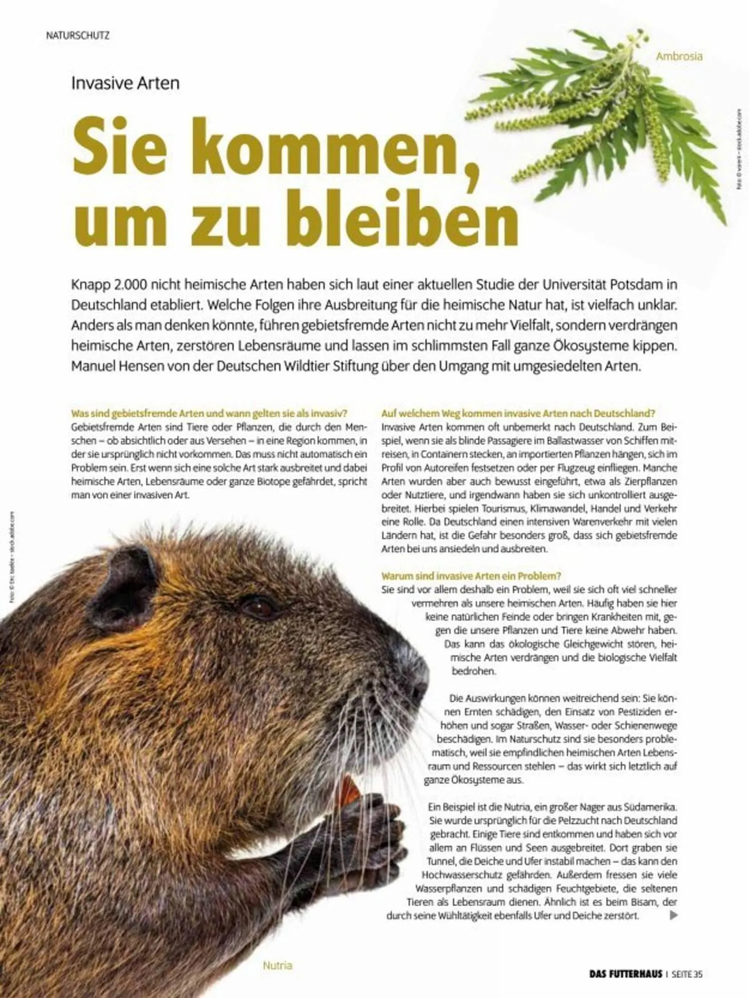 Das Futterhaus Prospekt von 3. Oktober bis 30. November 2025 - Flugblätt seite 35