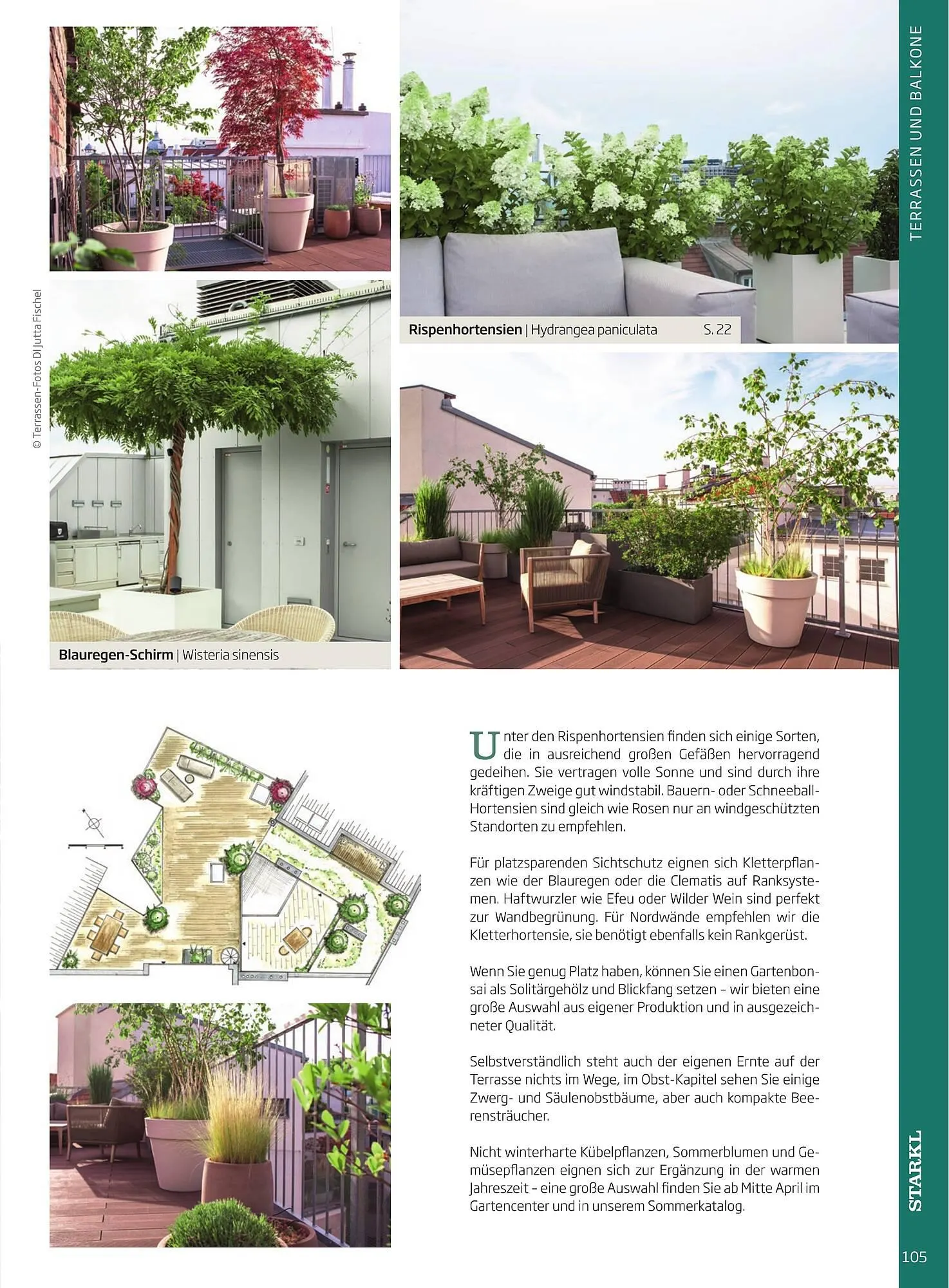 Starkl Flugblatt von 1. April bis 31. Dezember 2024 - Flugblätt seite  105