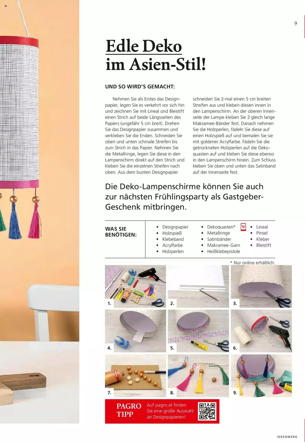 Pagro-Diskont Ideenwerk von 29. Februar bis 31. Dezember 2024 - Flugblätt seite  9